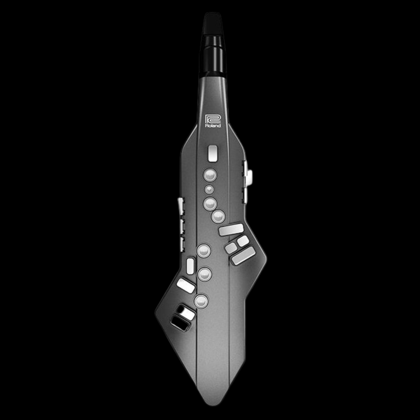 Roland Aerophone GO AE-05 Digital Wind Instrument - Palen Music