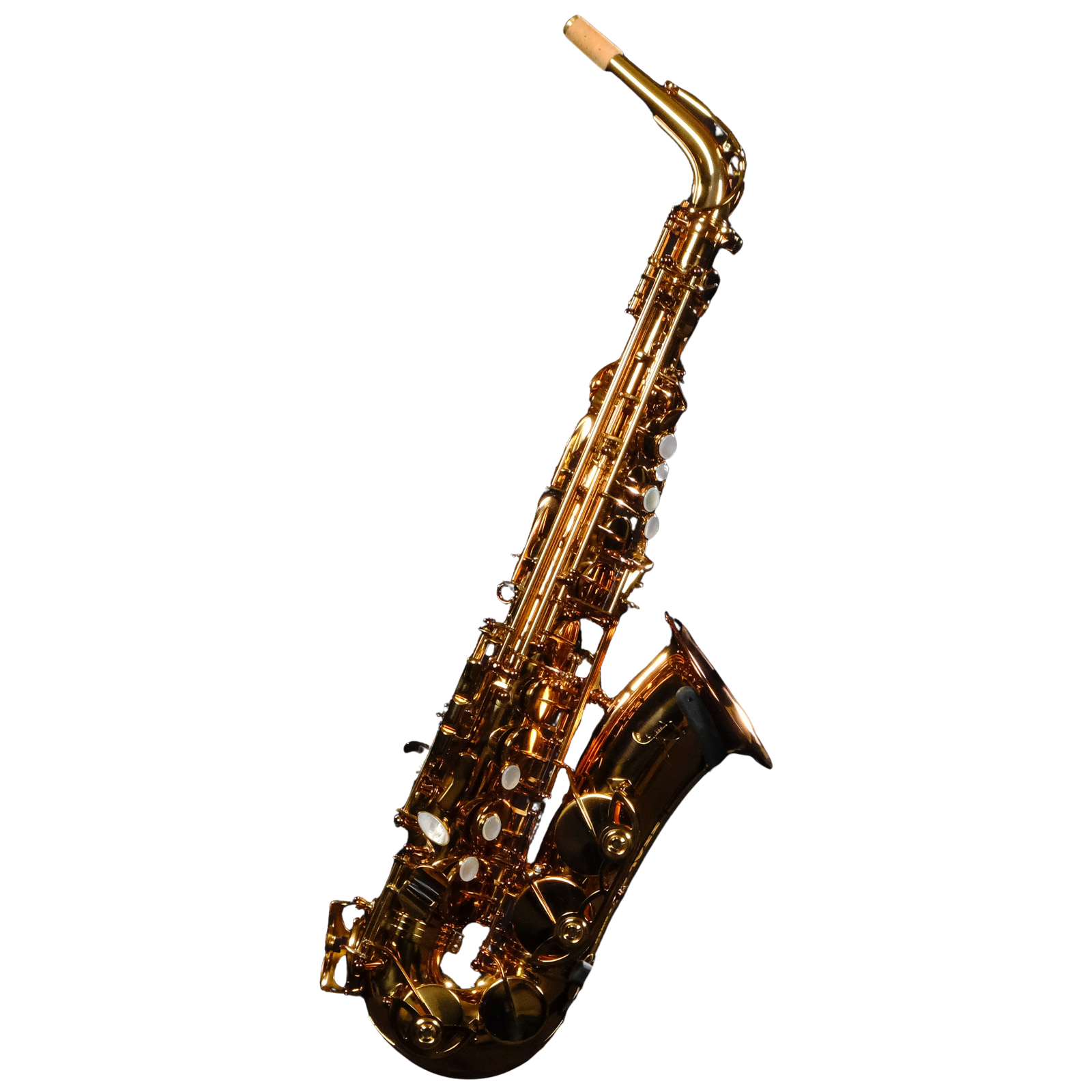 Rampone & Cazzani Performance Series Alto Saxophone - RCPASL