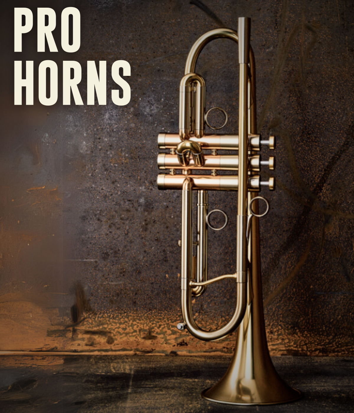 Shop Pro Horns