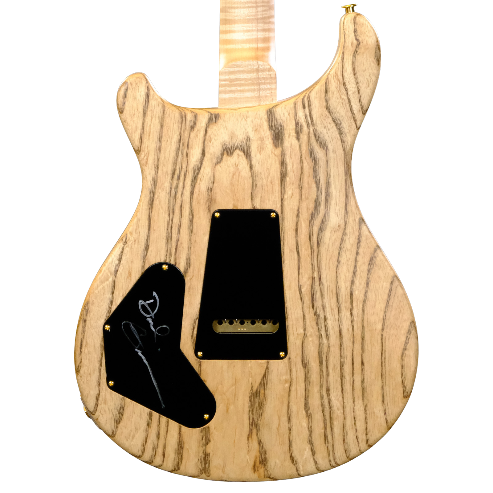 PRS Wood Library DGT Electric Guitar with Bird Inlays - Red Tiger