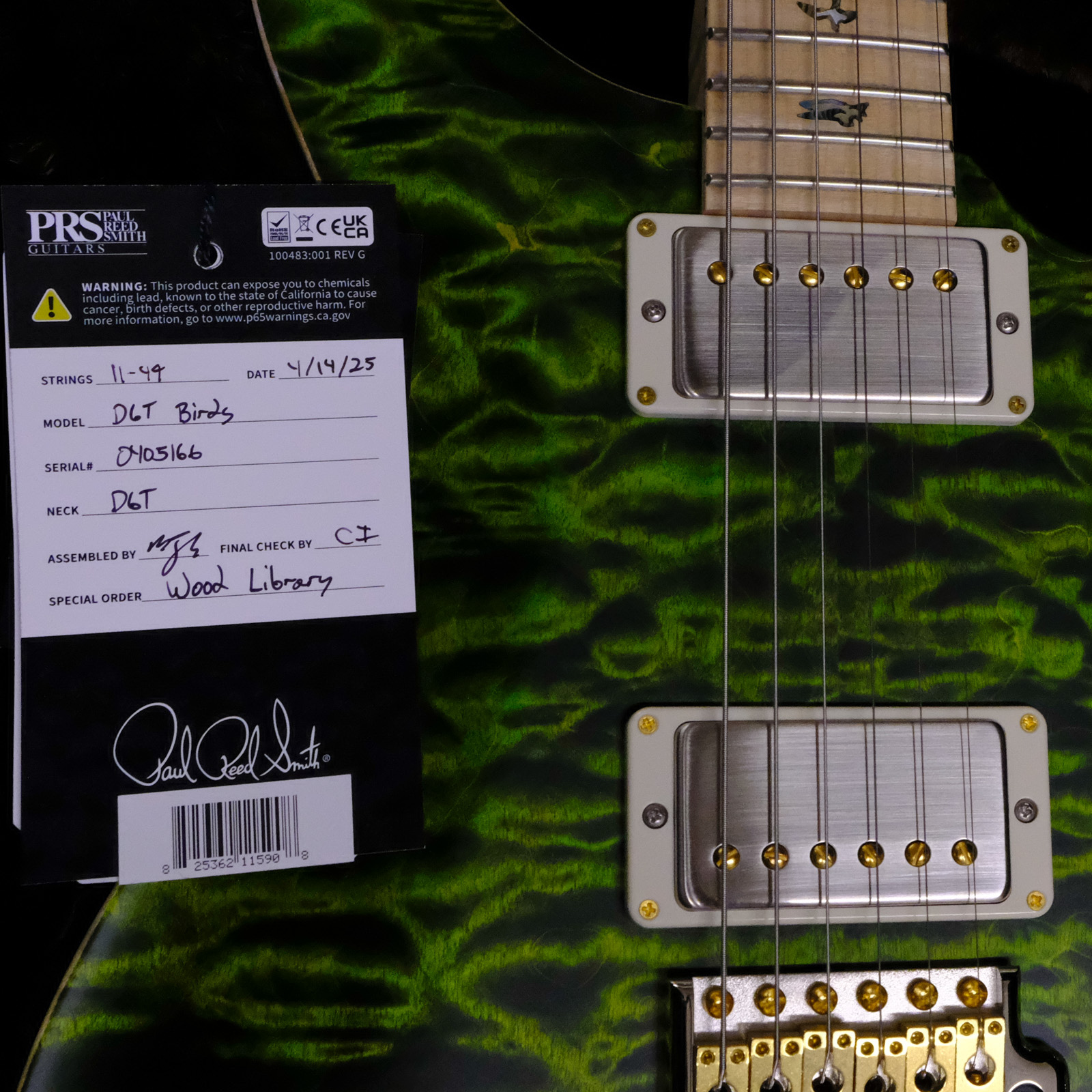 PRS Wood Library DGT Electric Guitar with Bird Inlays - Jade