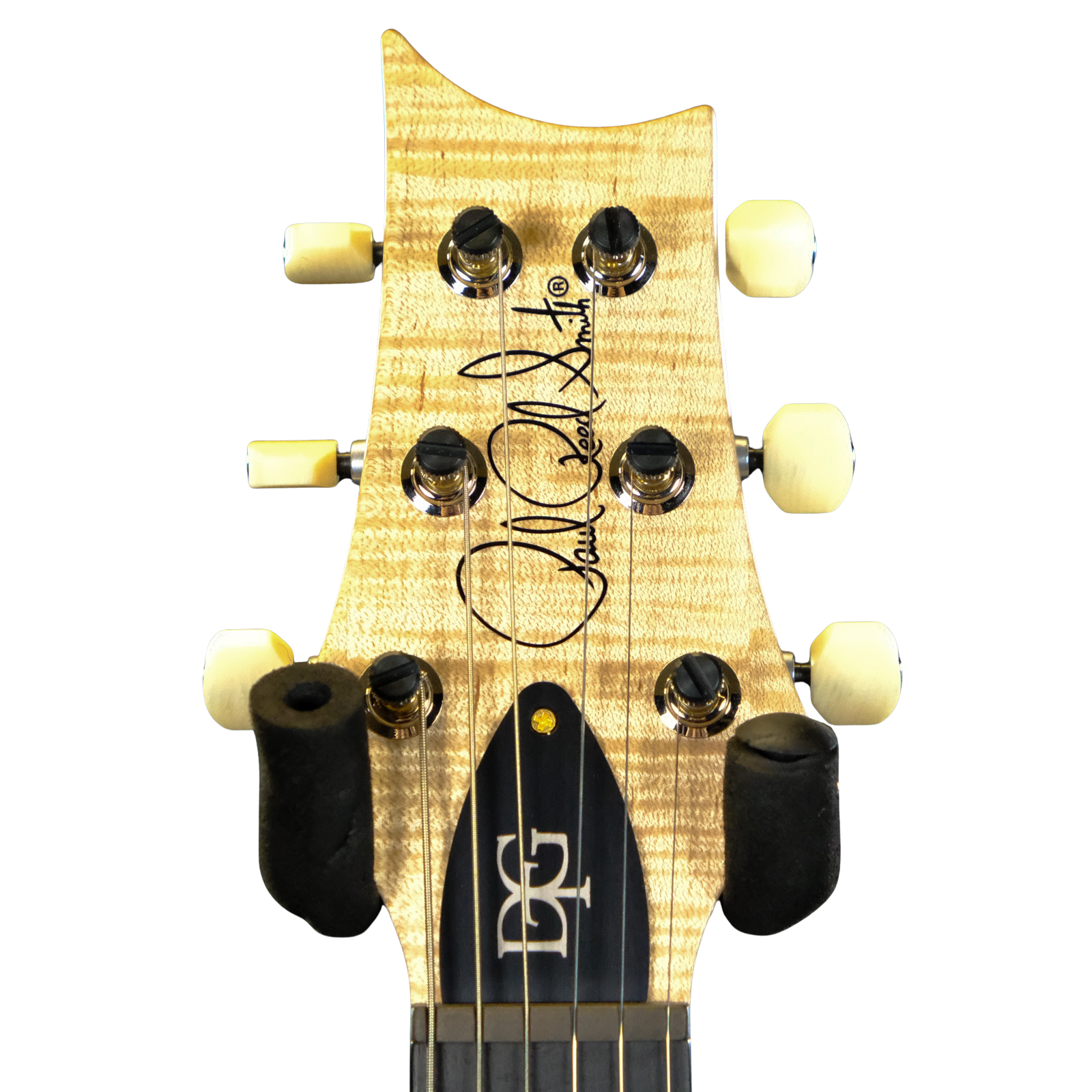 PRS Wood Library DGT Electric Guitar with Bird Inlays - Copperhead with Natural Back