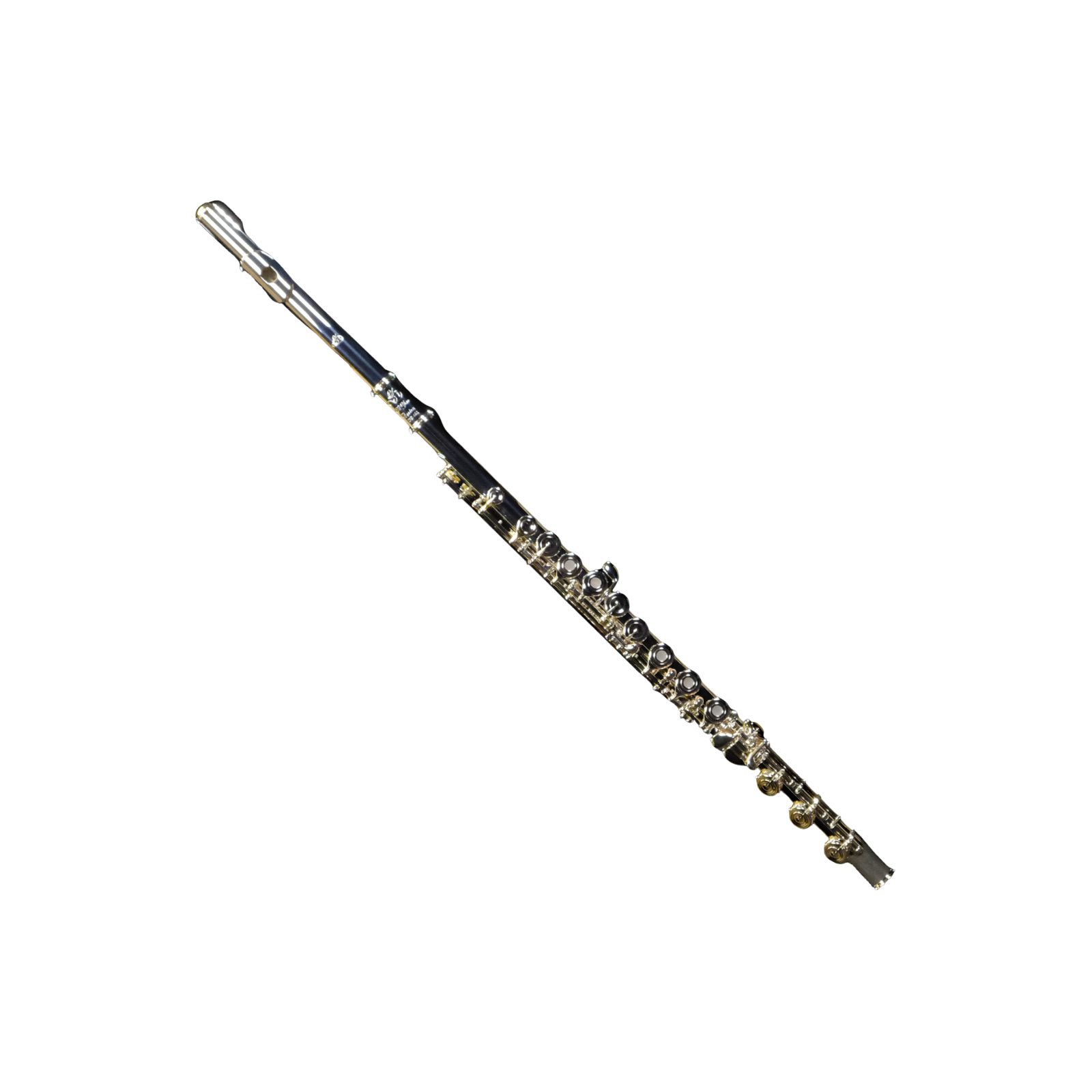Di Zhao Intermediate Flute w/Solid Silver Headjoint - DZ601BOF