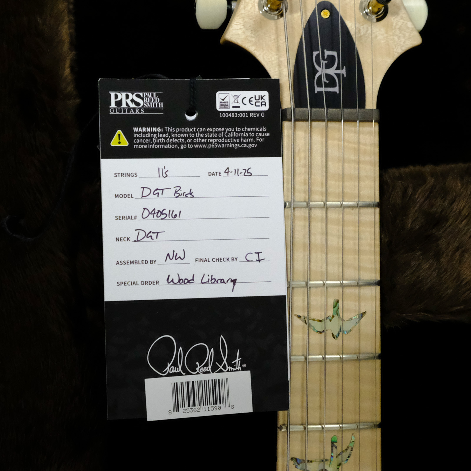 PRS Wood Library DGT Electric Guitar with Bird Inlays - Jade