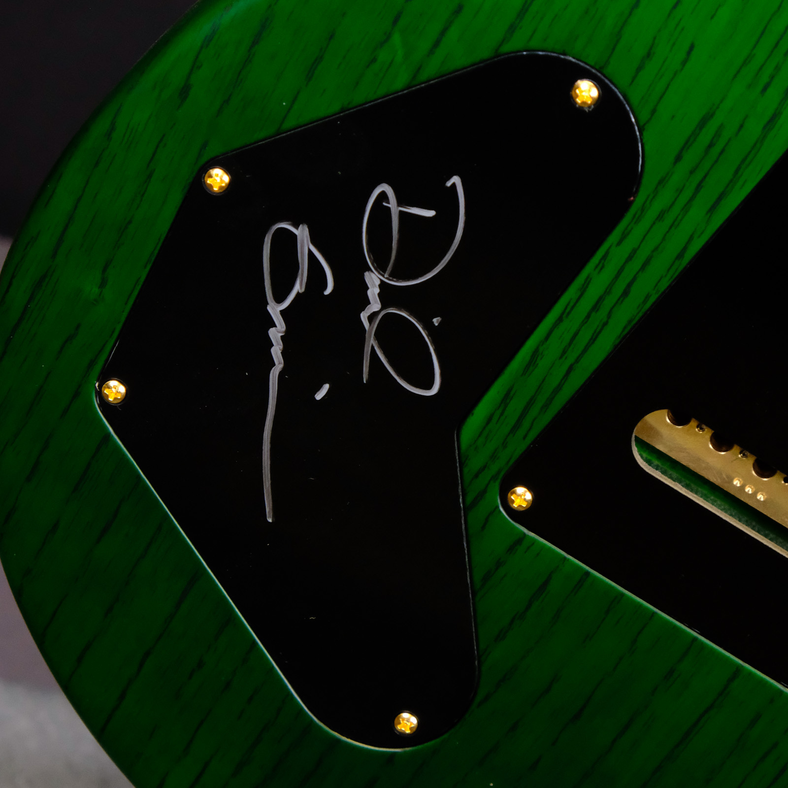 PRS Wood Library DGT Electric Guitar with Bird Inlays - Jade