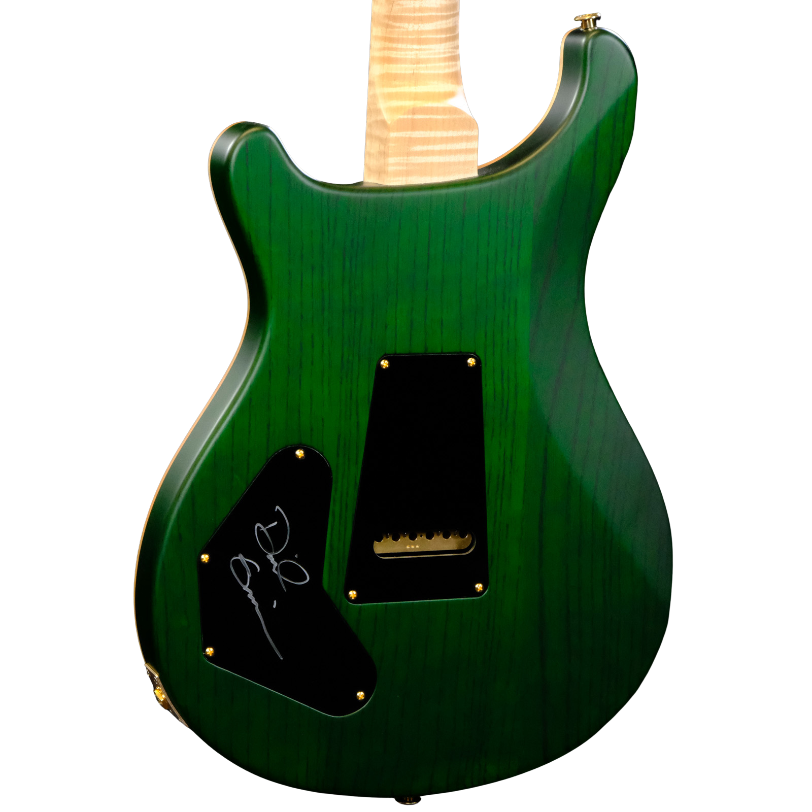 PRS Wood Library DGT Electric Guitar with Bird Inlays - Jade