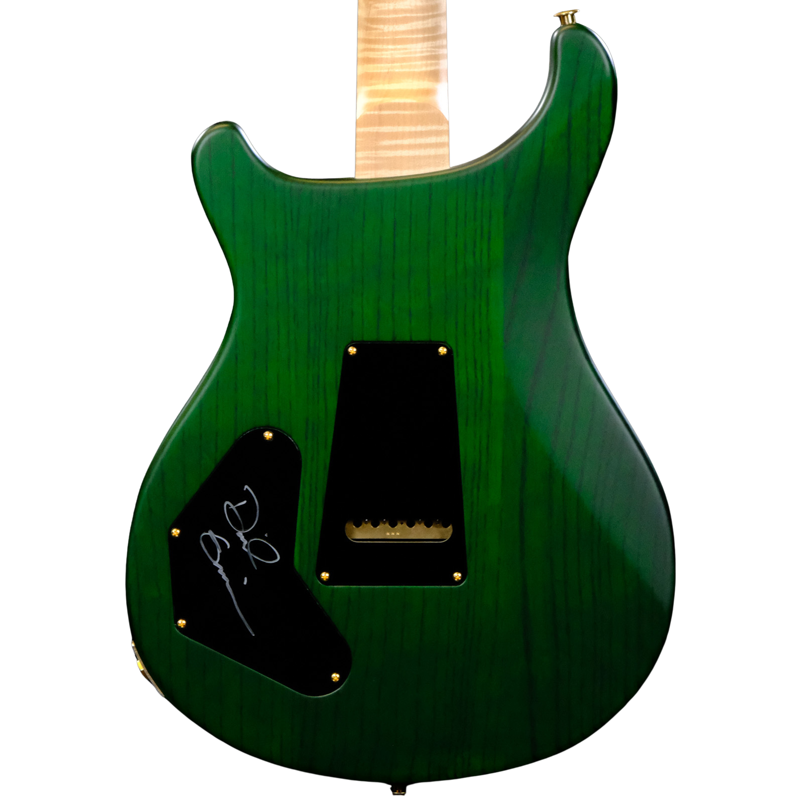 PRS Wood Library DGT Electric Guitar with Bird Inlays - Jade