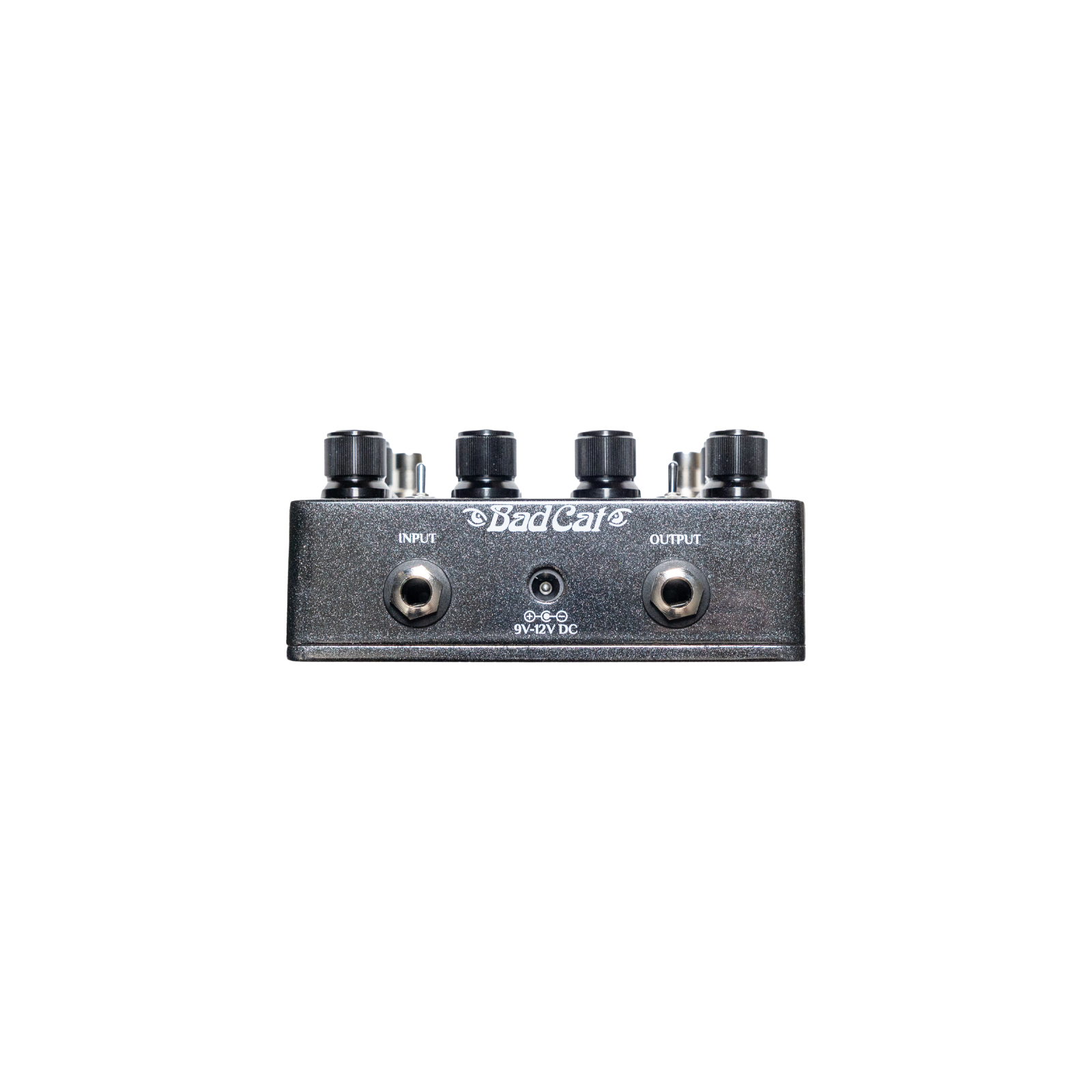 Bad Cat Burmese Drive