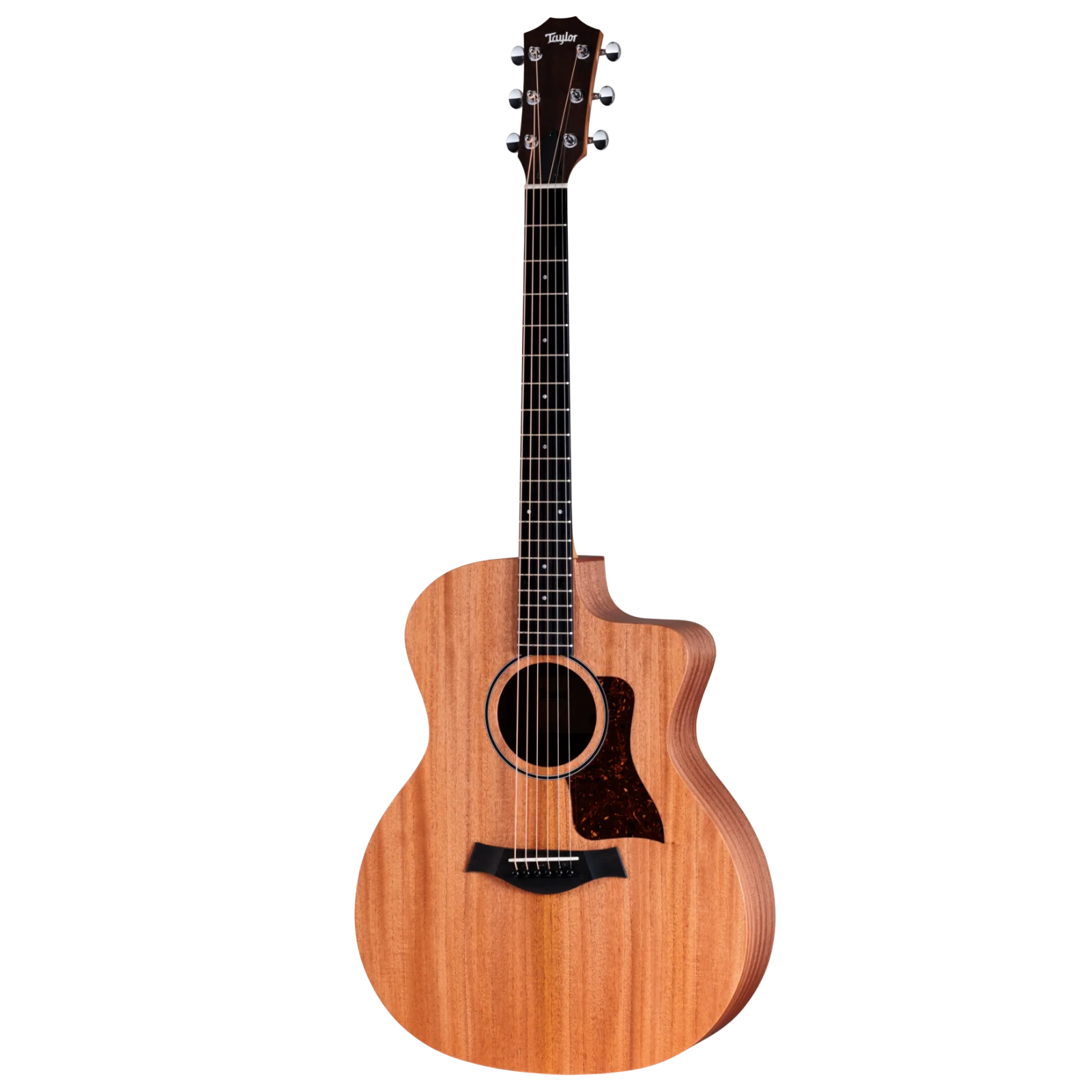 Taylor 24ce - Natural