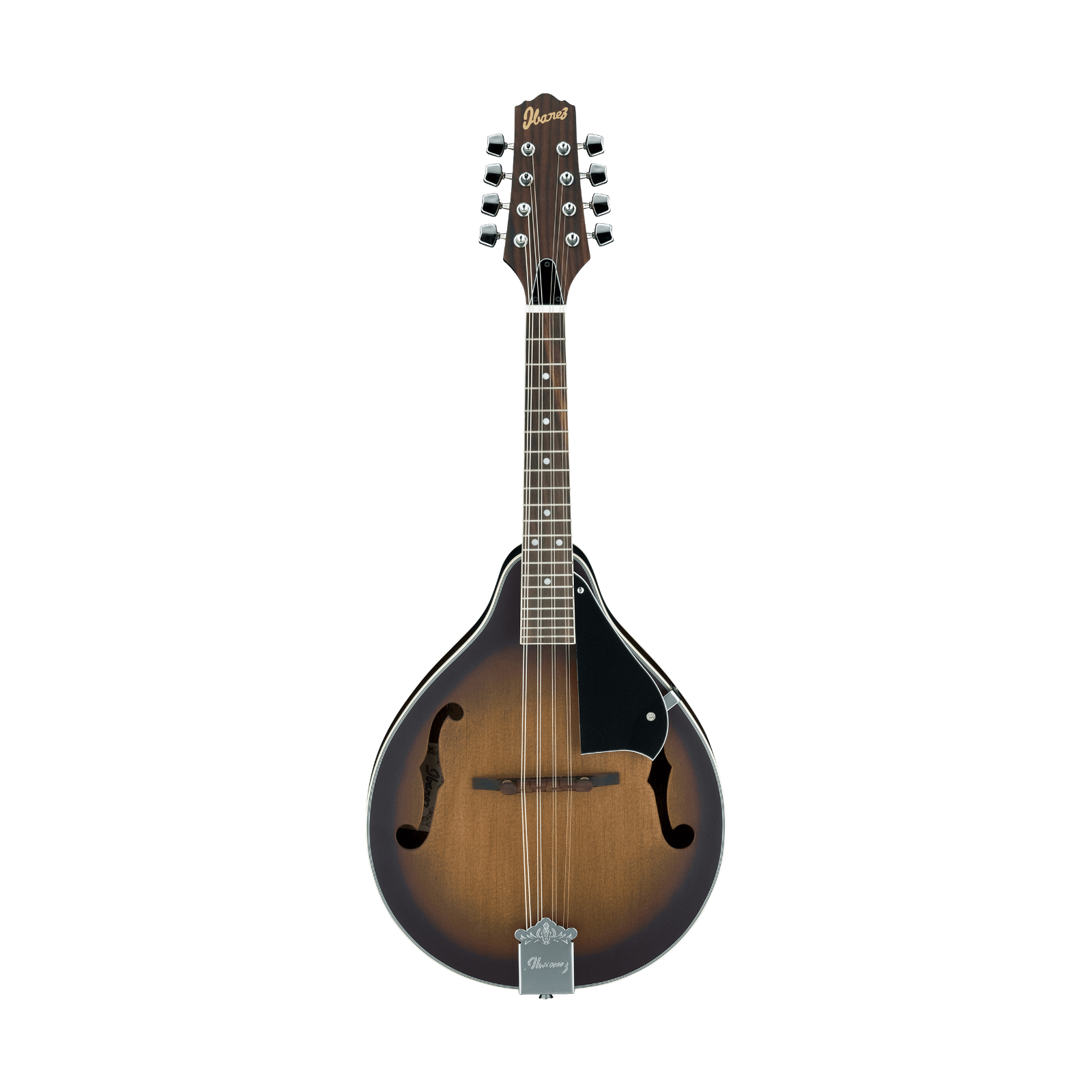 Ibanez M510