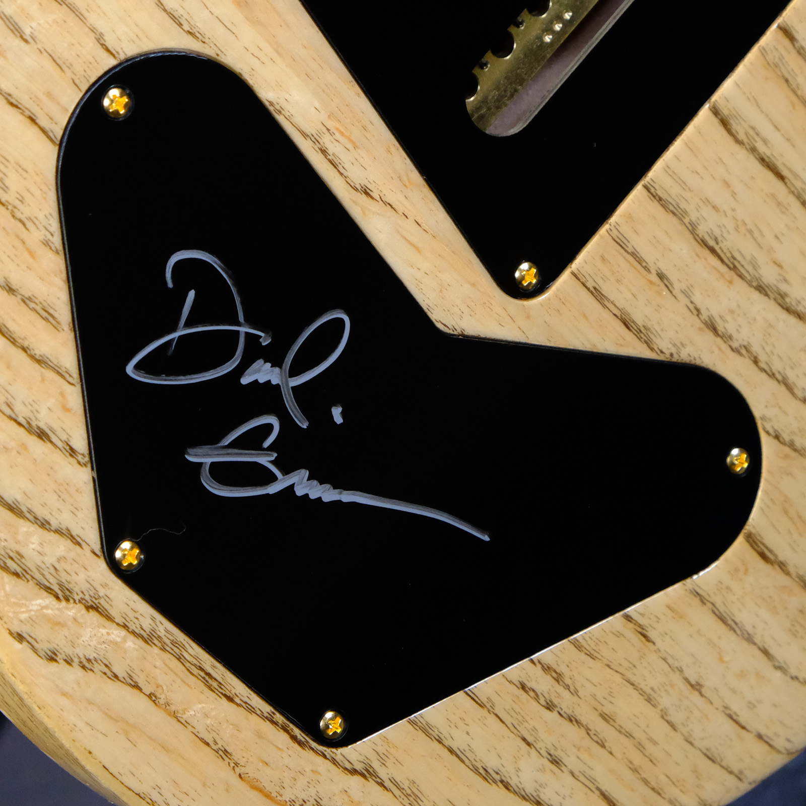 PRS Wood Library DGT Electric Guitar with Bird Inlays - Copperhead with Natural Back