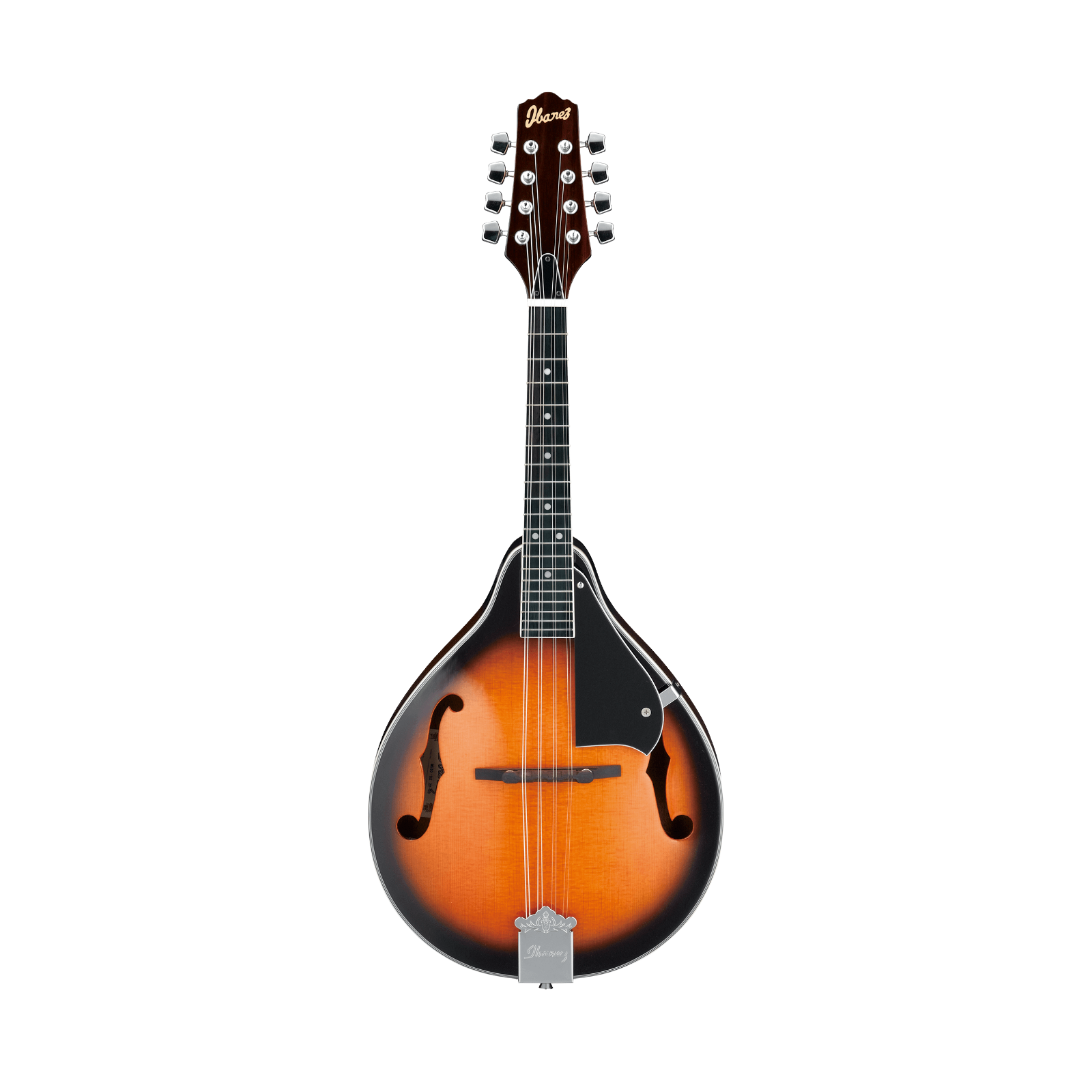 Ibanez M510