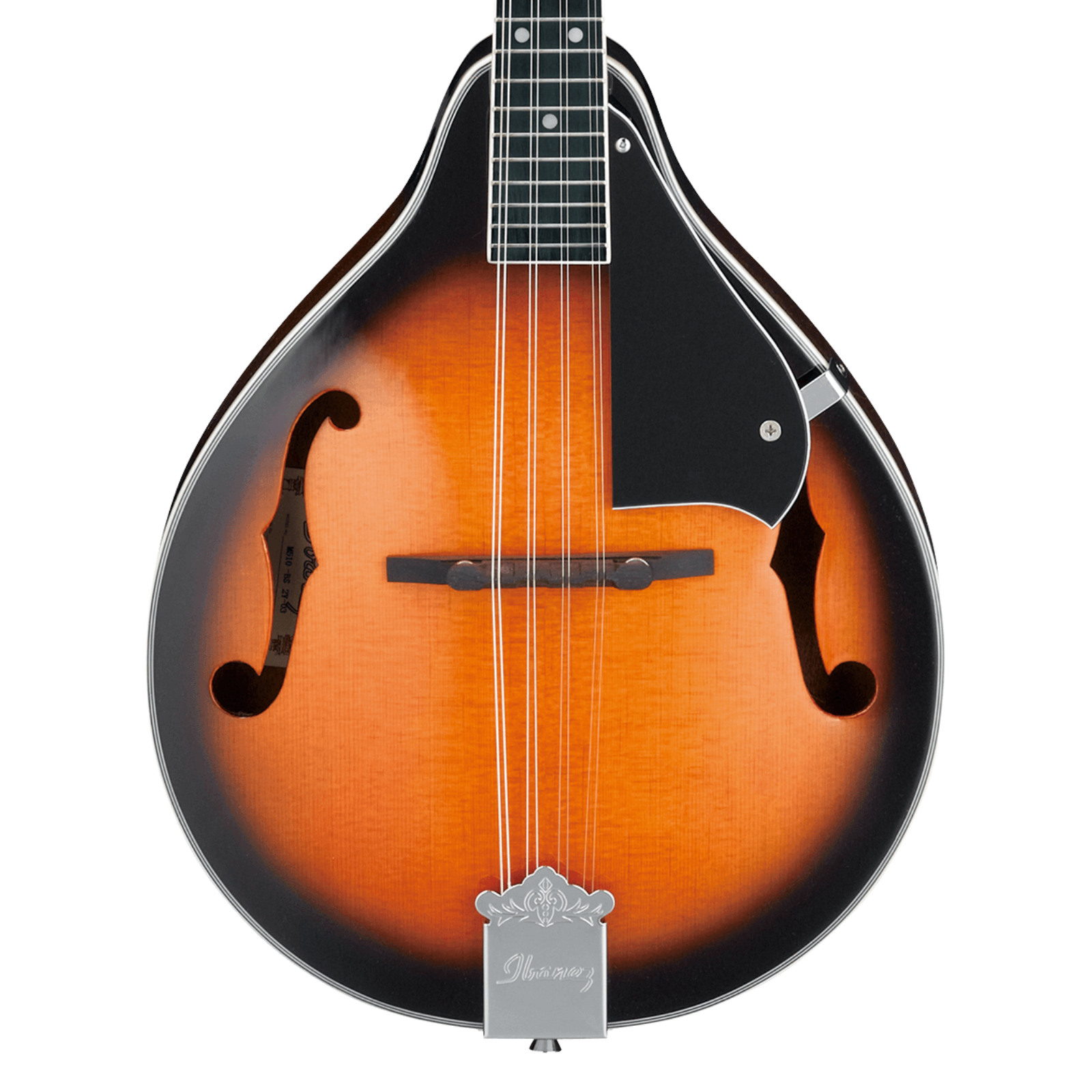 Ibanez M510