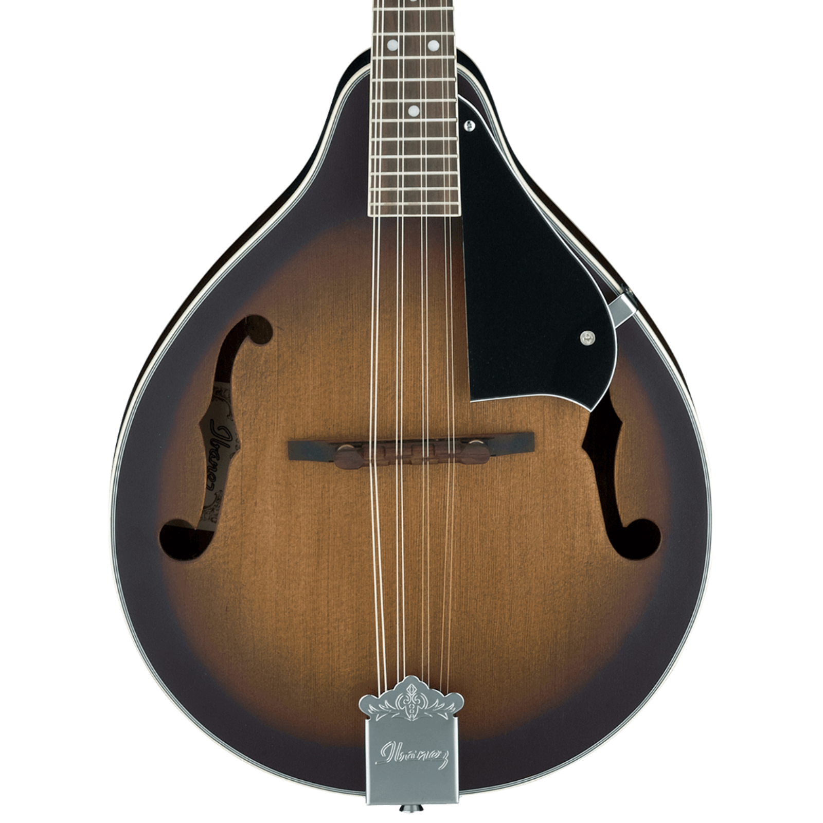 Ibanez M510