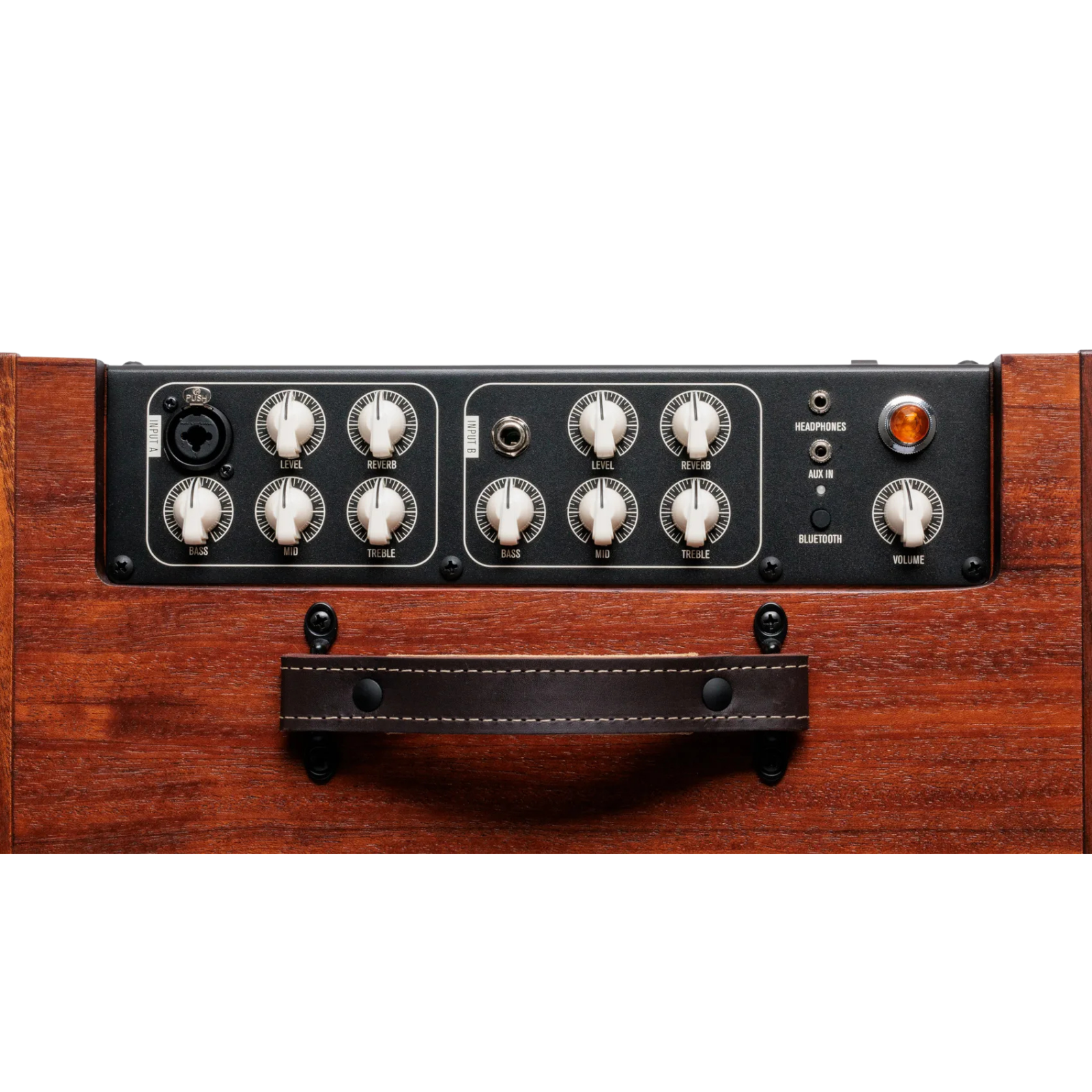 Taylor Circa 74 150-watt Acoustic Guitar and Vocal Amplifier