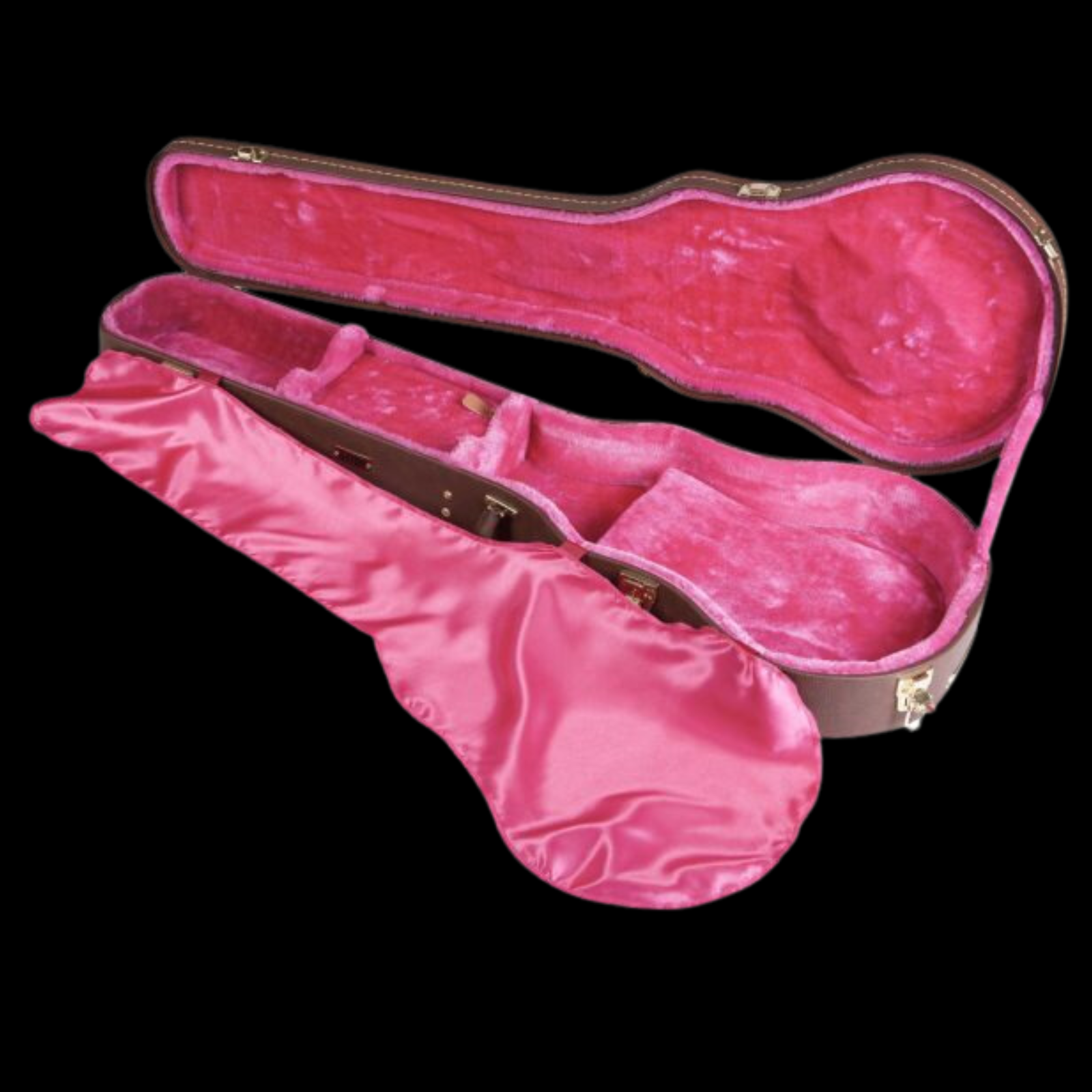 Gator Deluxe Wood Case for Les Paul Guitar - Brown