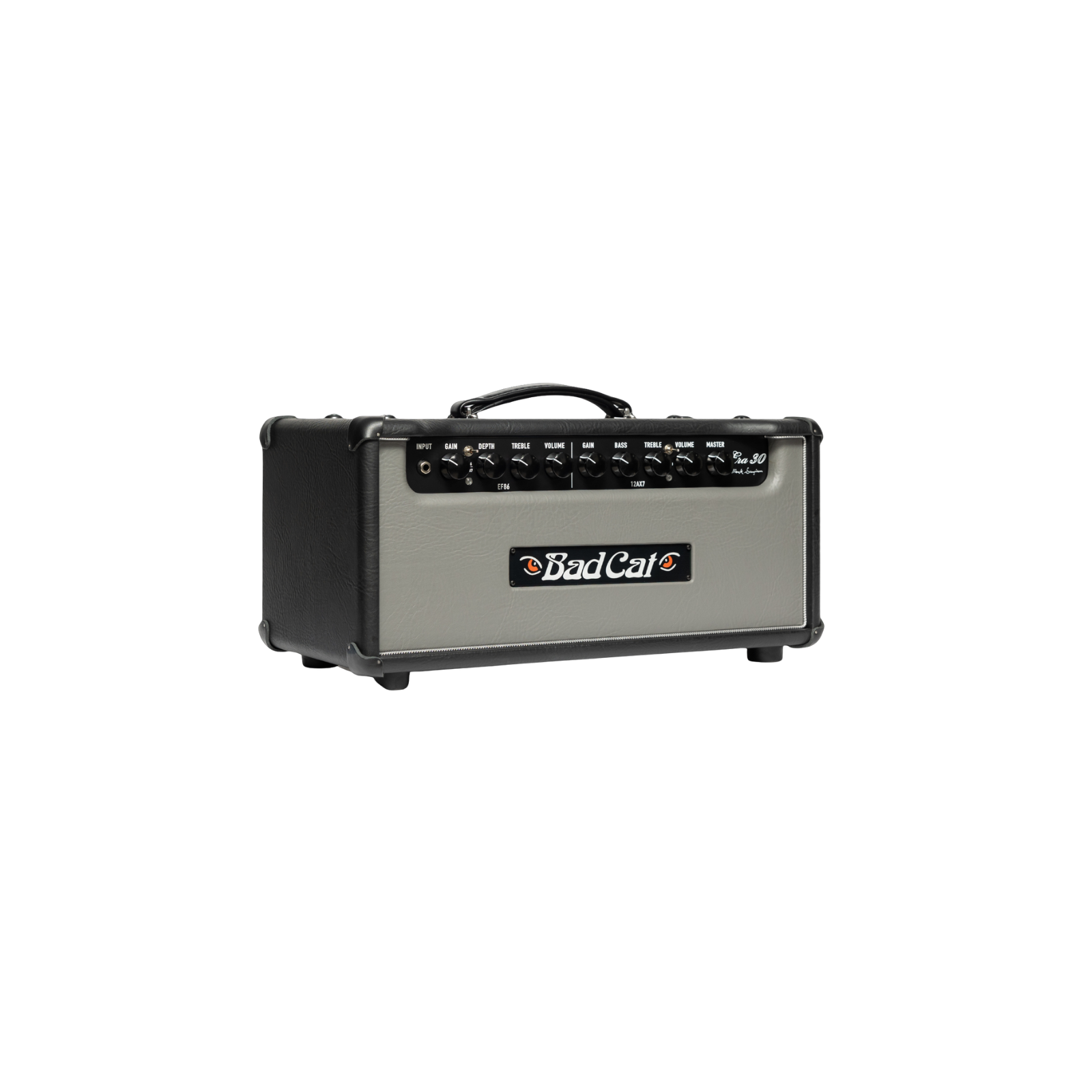 Bad Cat Era 30 Mark Sampson's 30-watts Head Amp - Gray