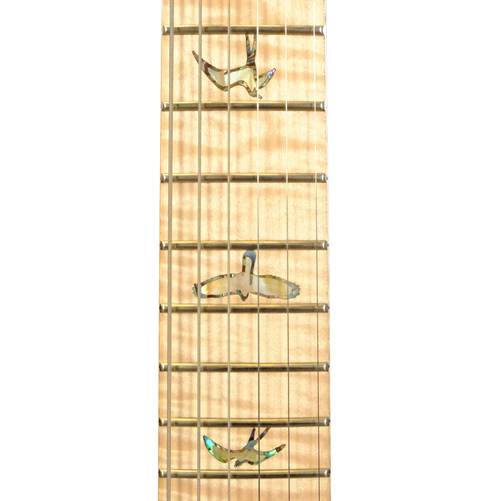 PRS Wood Library DGT Electric Guitar with Bird Inlays - Jade