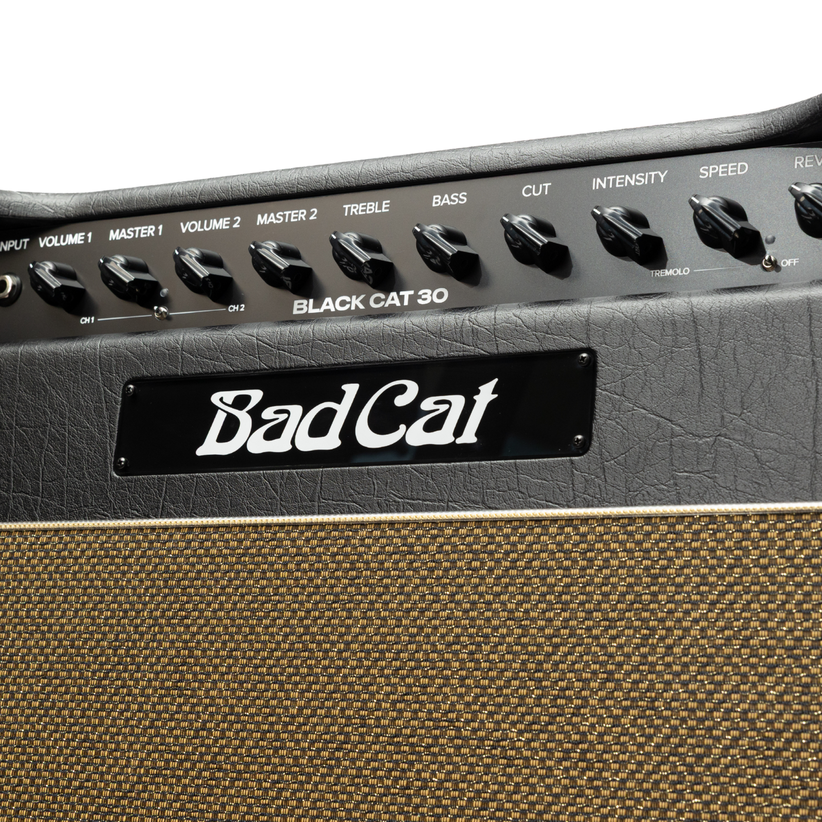 Bad Cat Mod Shop Black Cat 30 Combo (Mark Sampson Mod)