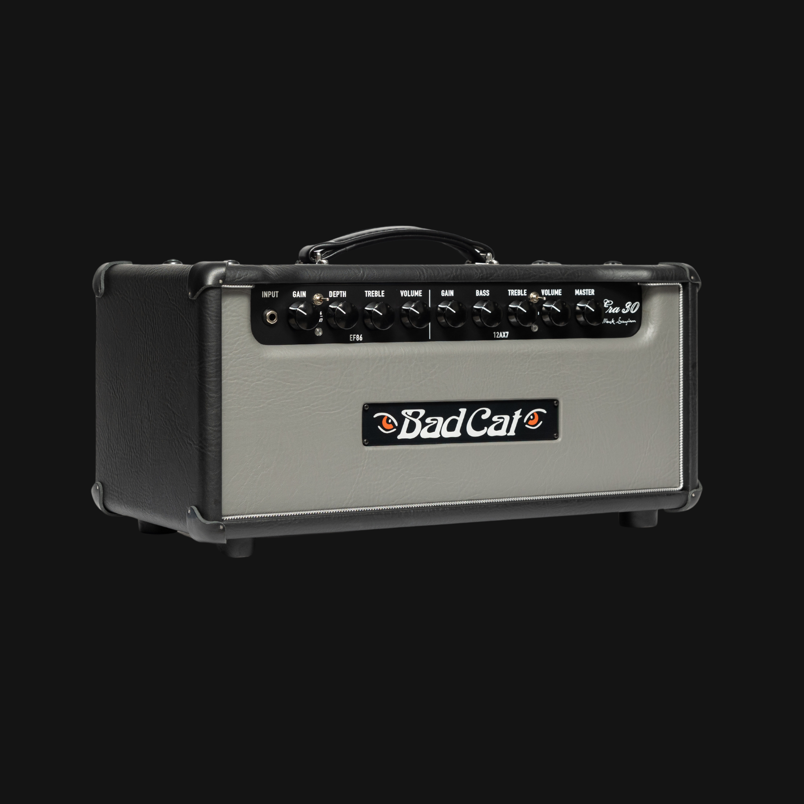 Bad Cat Era 30 Mark Sampson's 30-watts Head Amp - Gray