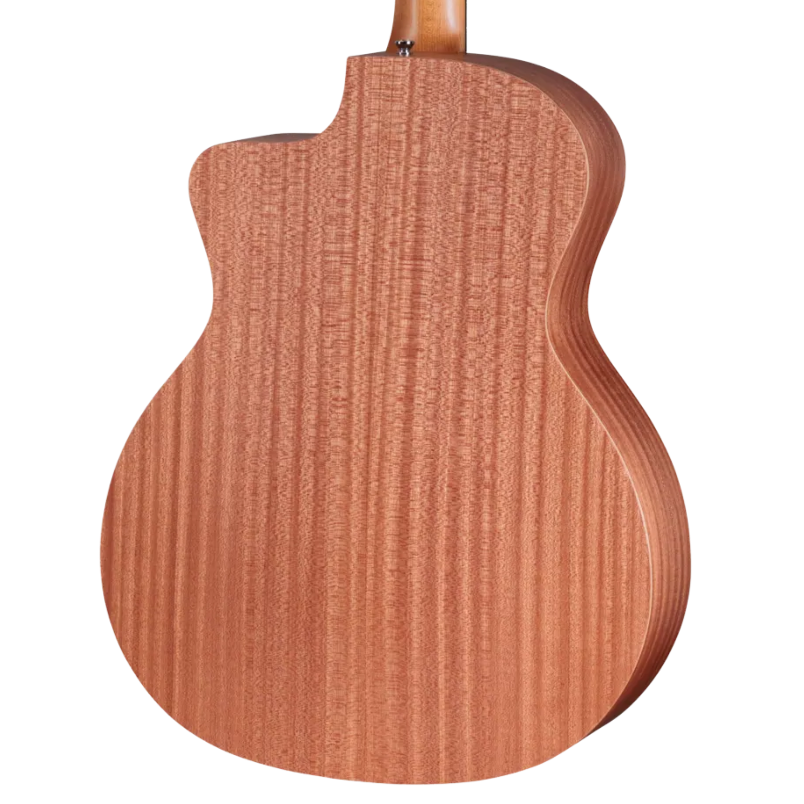 Taylor 24ce - Natural