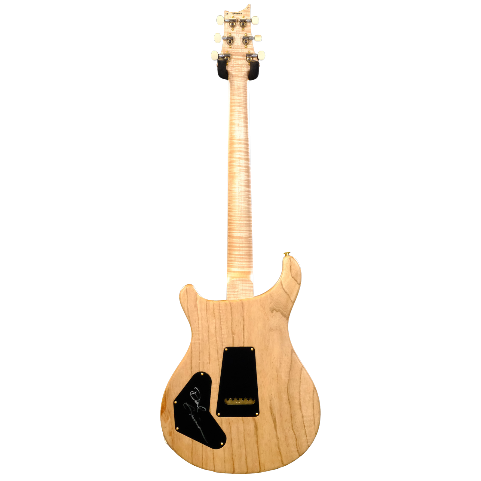 PRS Wood Library DGT Electric Guitar with Bird Inlays - Red Tiger