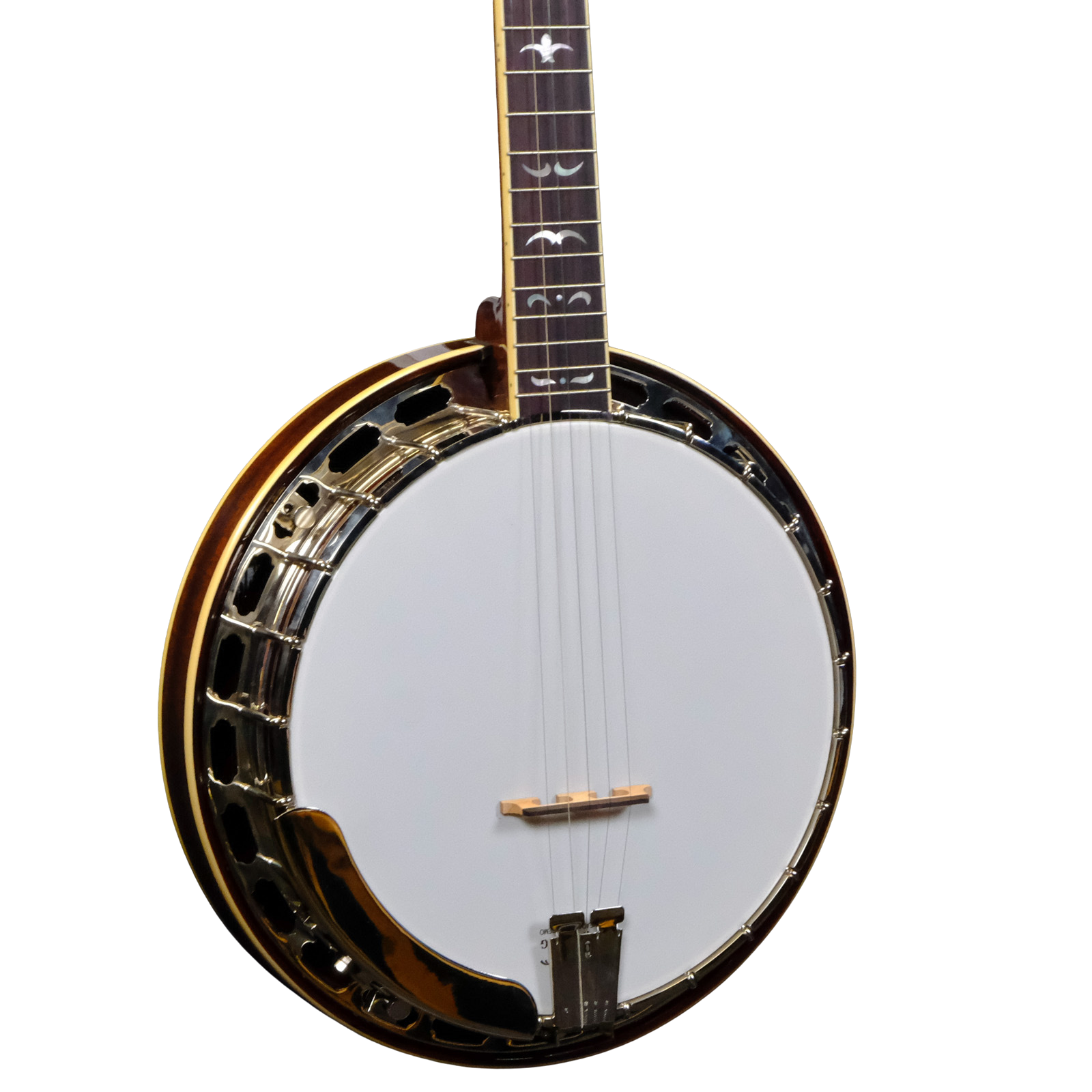 Recording King RK-R36-BR Madison Resonator Banjo - Brown Gloss