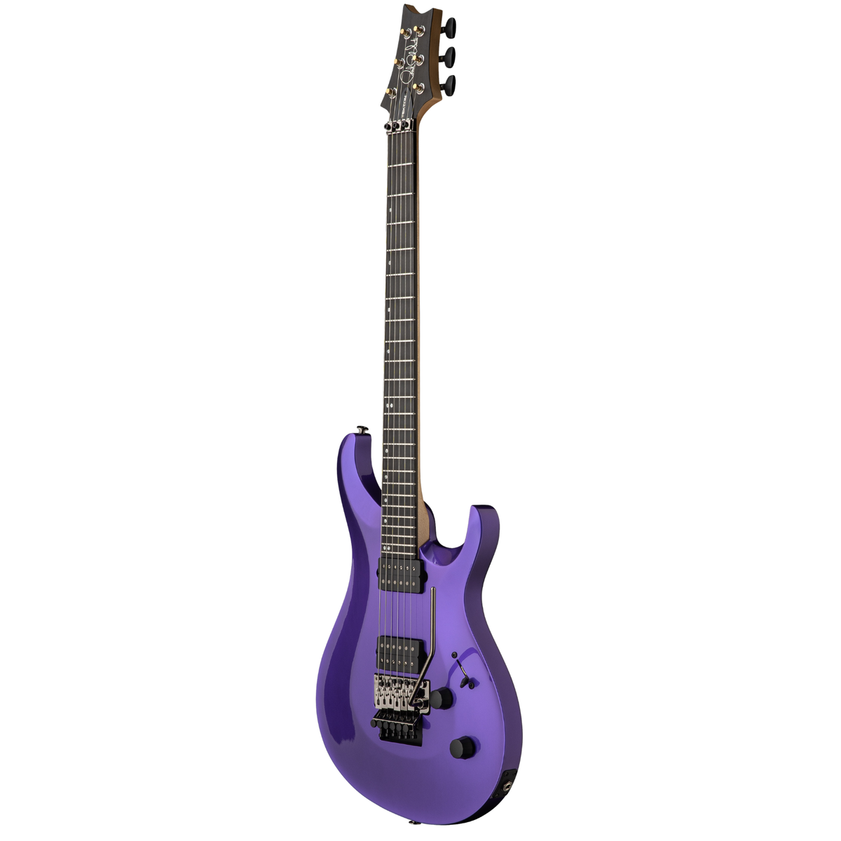 PREORDER PRS Tekton "Floyd" - Purple Royale