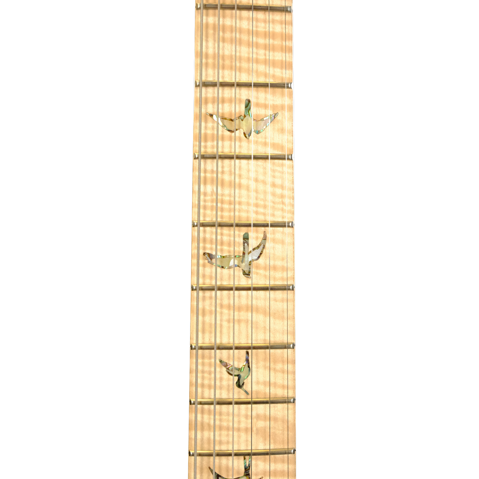 PRS Wood Library DGT Electric Guitar with Bird Inlays - Jade