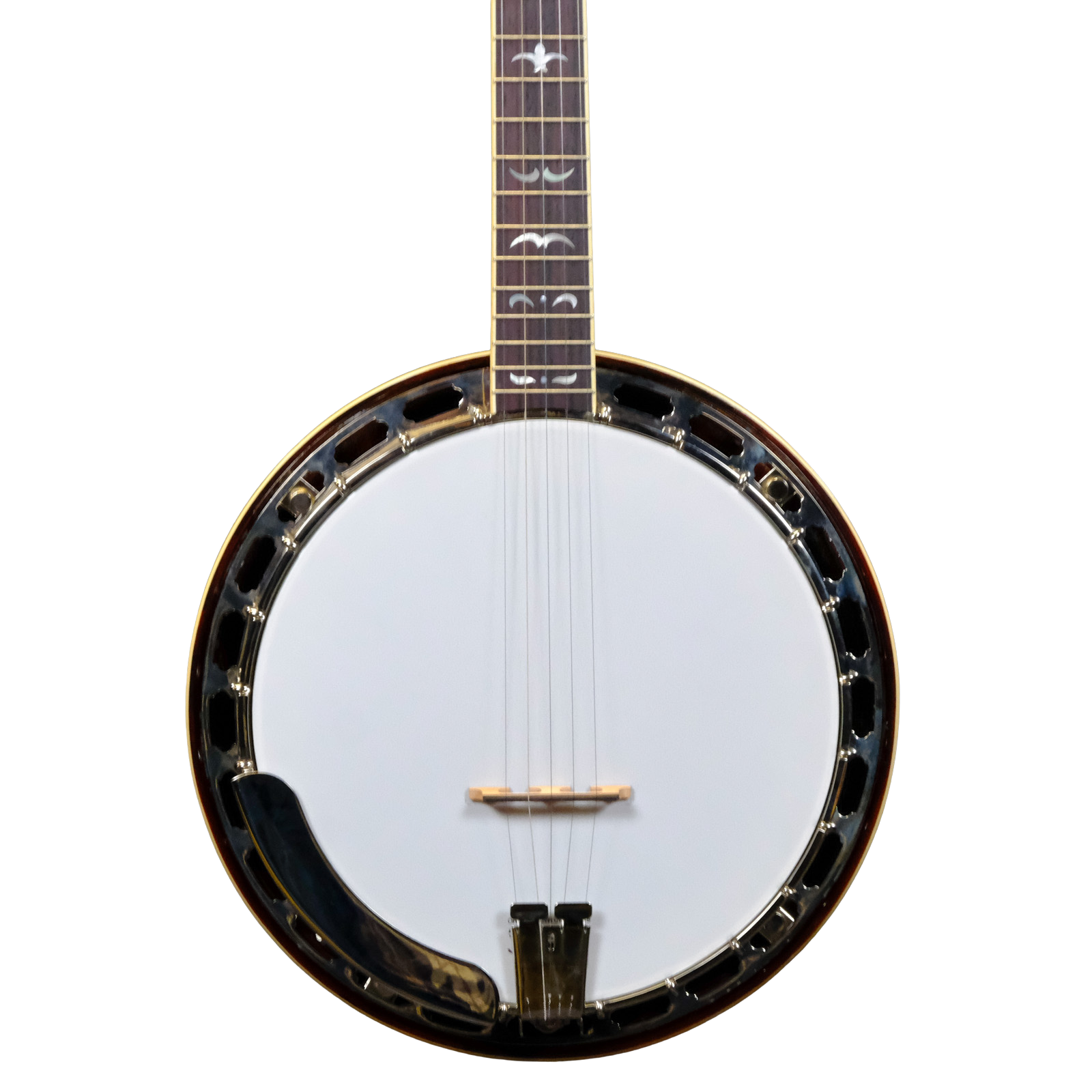 Recording King RK-R36-BR Madison Resonator Banjo - Brown Gloss