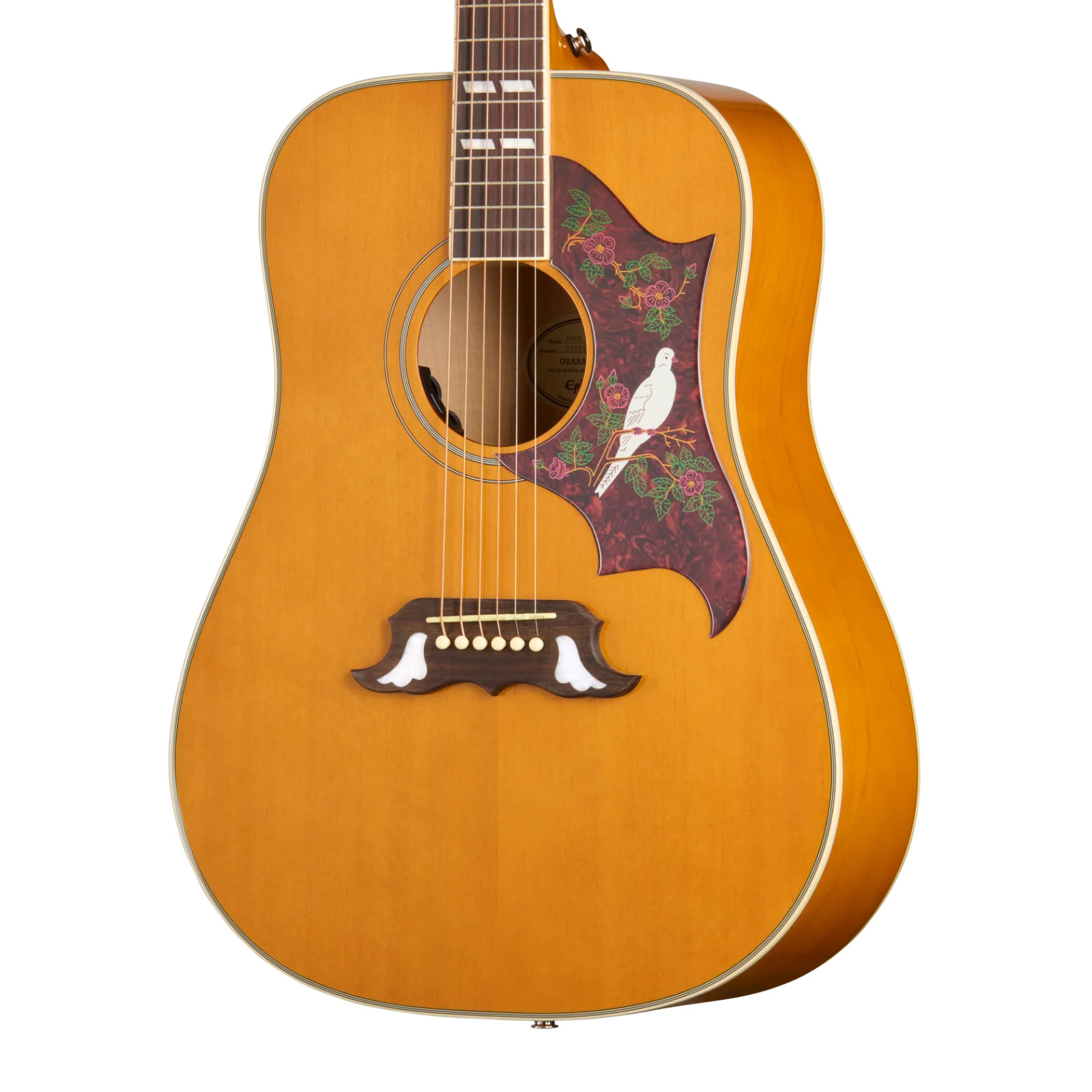 Epiphone Dove Studio Acoustic - EASDVANNH1