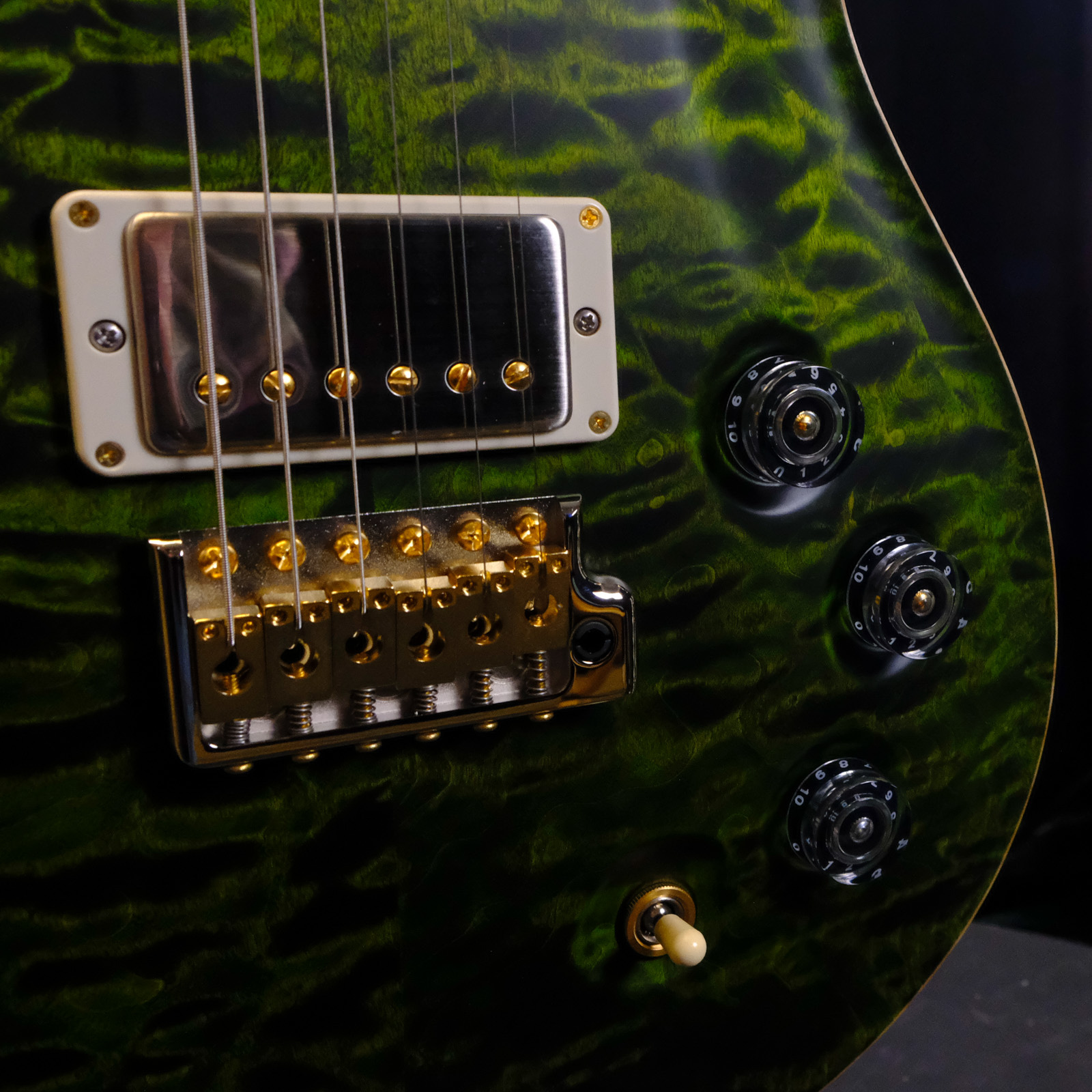 PRS Wood Library DGT Electric Guitar with Bird Inlays - Jade