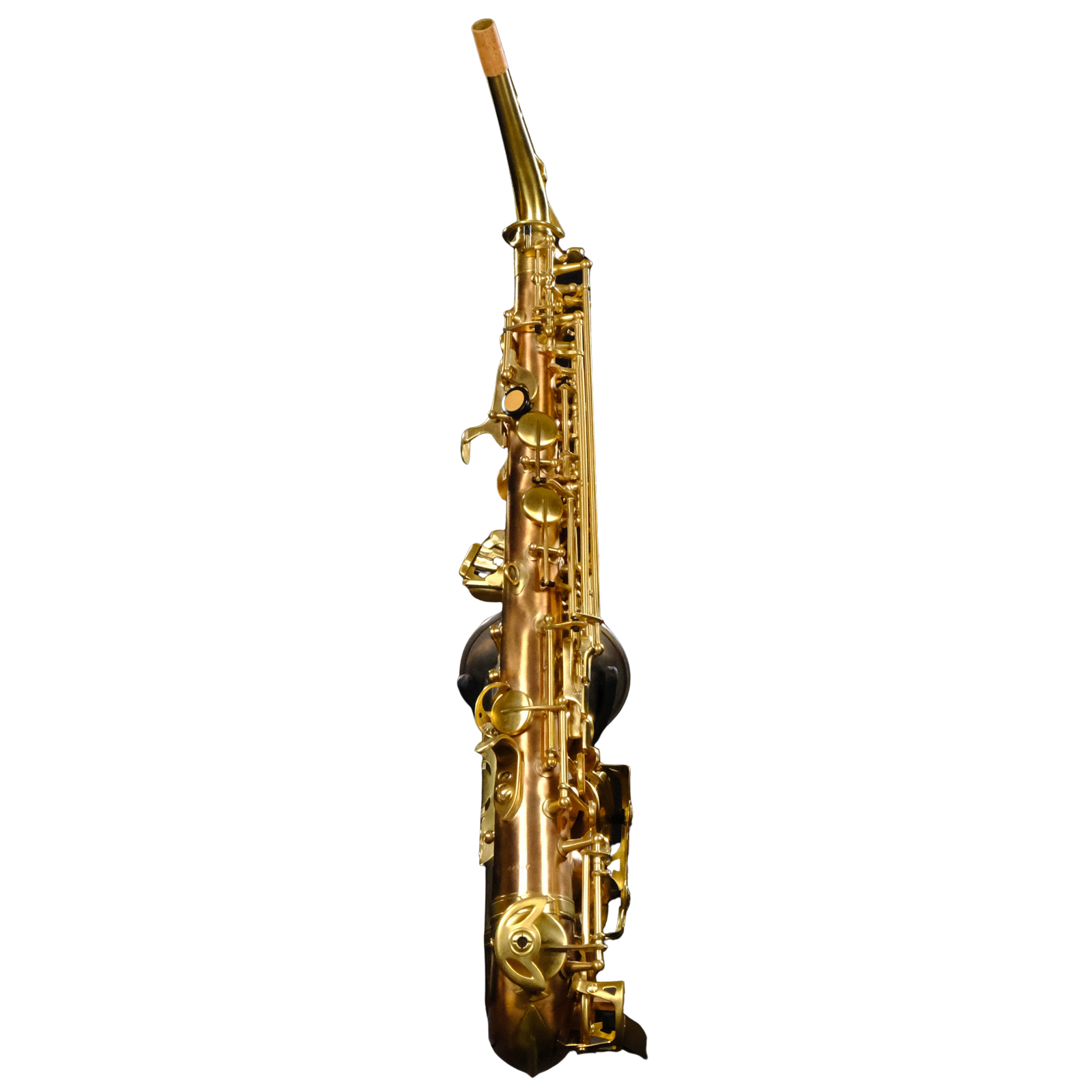 Rampone & Cazzani Two Voices Alto Saxophone (Solid Sterling Silver & Bronze) - 2006/TV/BRS