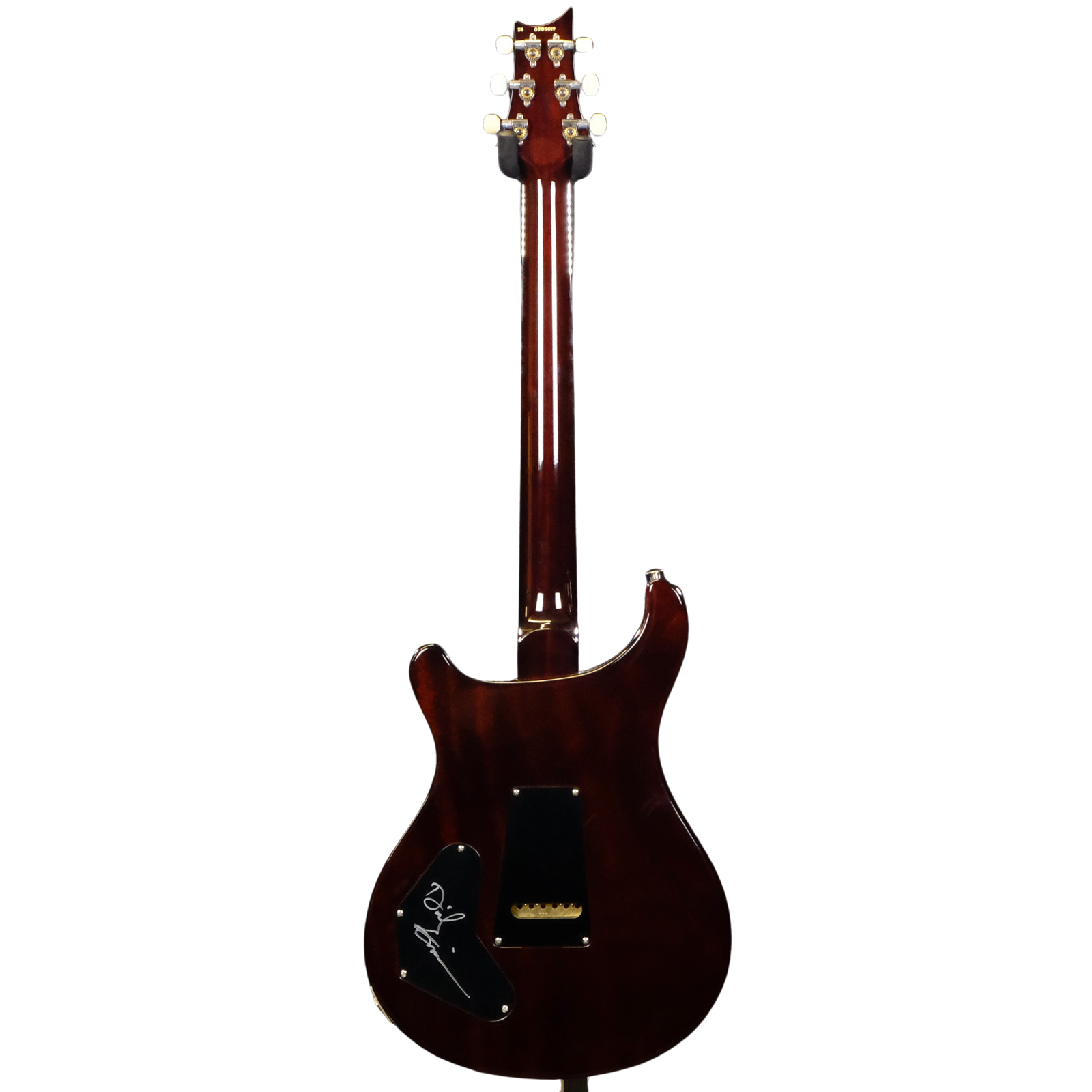 PRS DGT Electric Guitar with Bird Inlays - McCarty Tobacco Sunburst