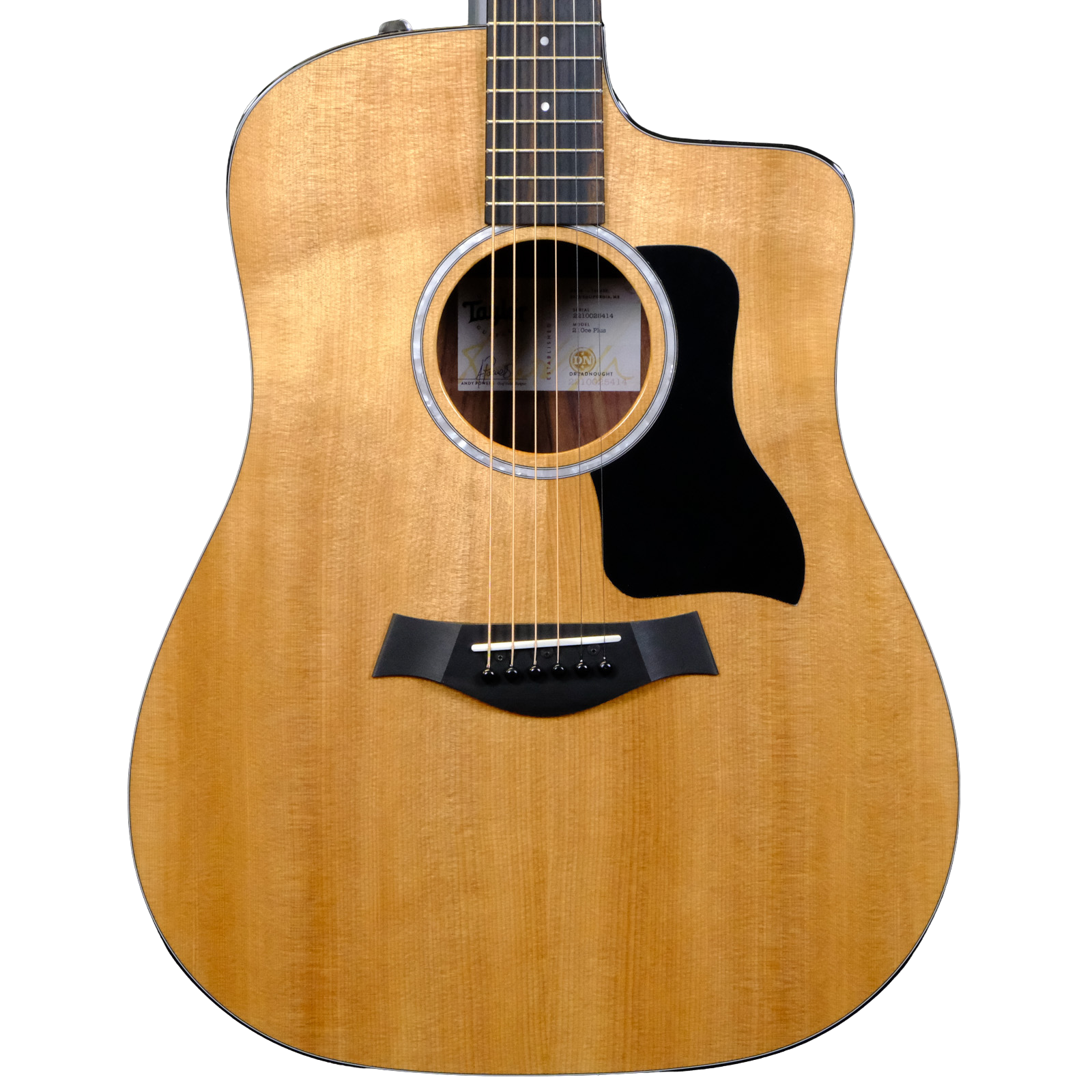 Taylor 210CEPLUS Acoustic-Electric Guitar - Natural Gloss