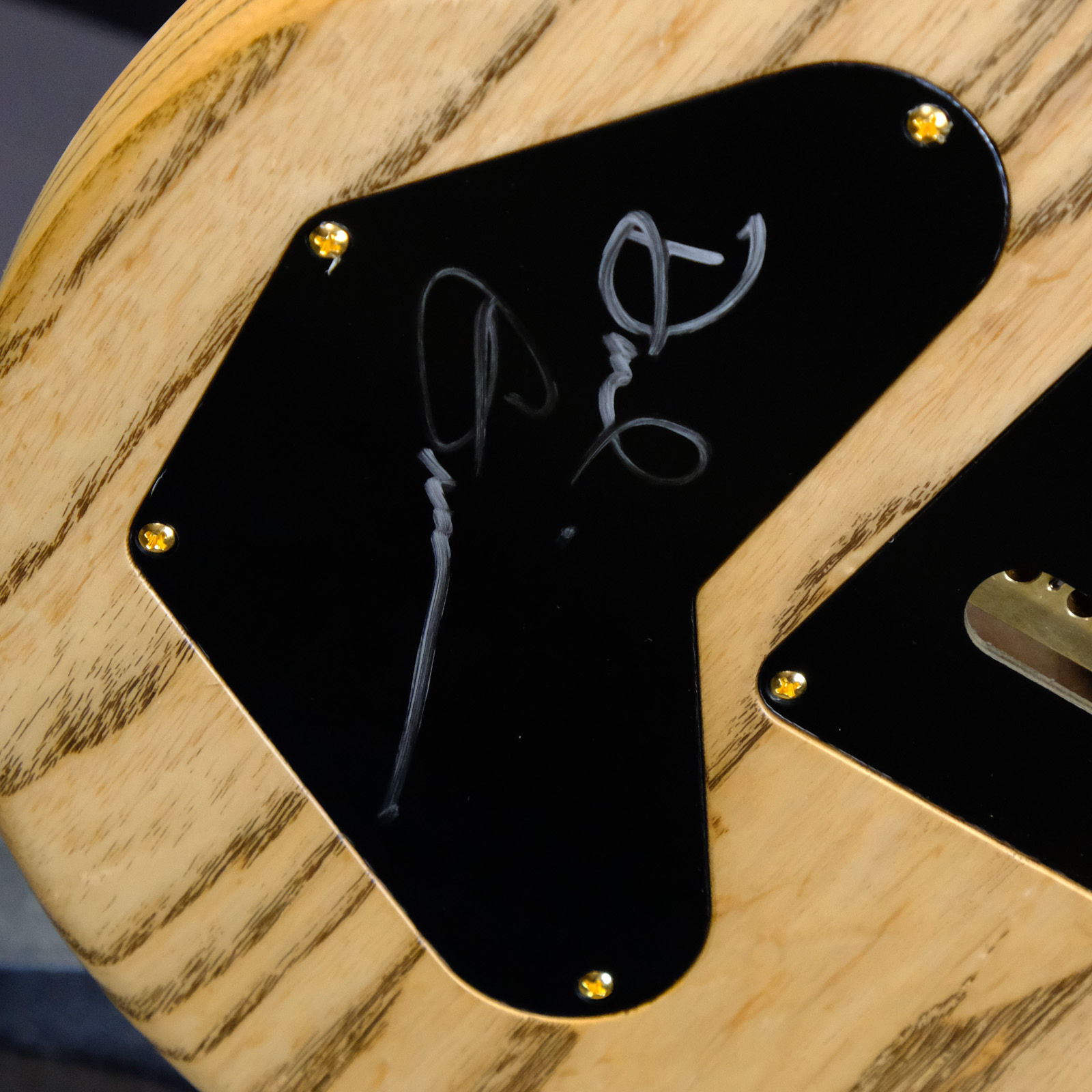 PRS Wood Library DGT Electric Guitar with Bird Inlays - Red Tiger