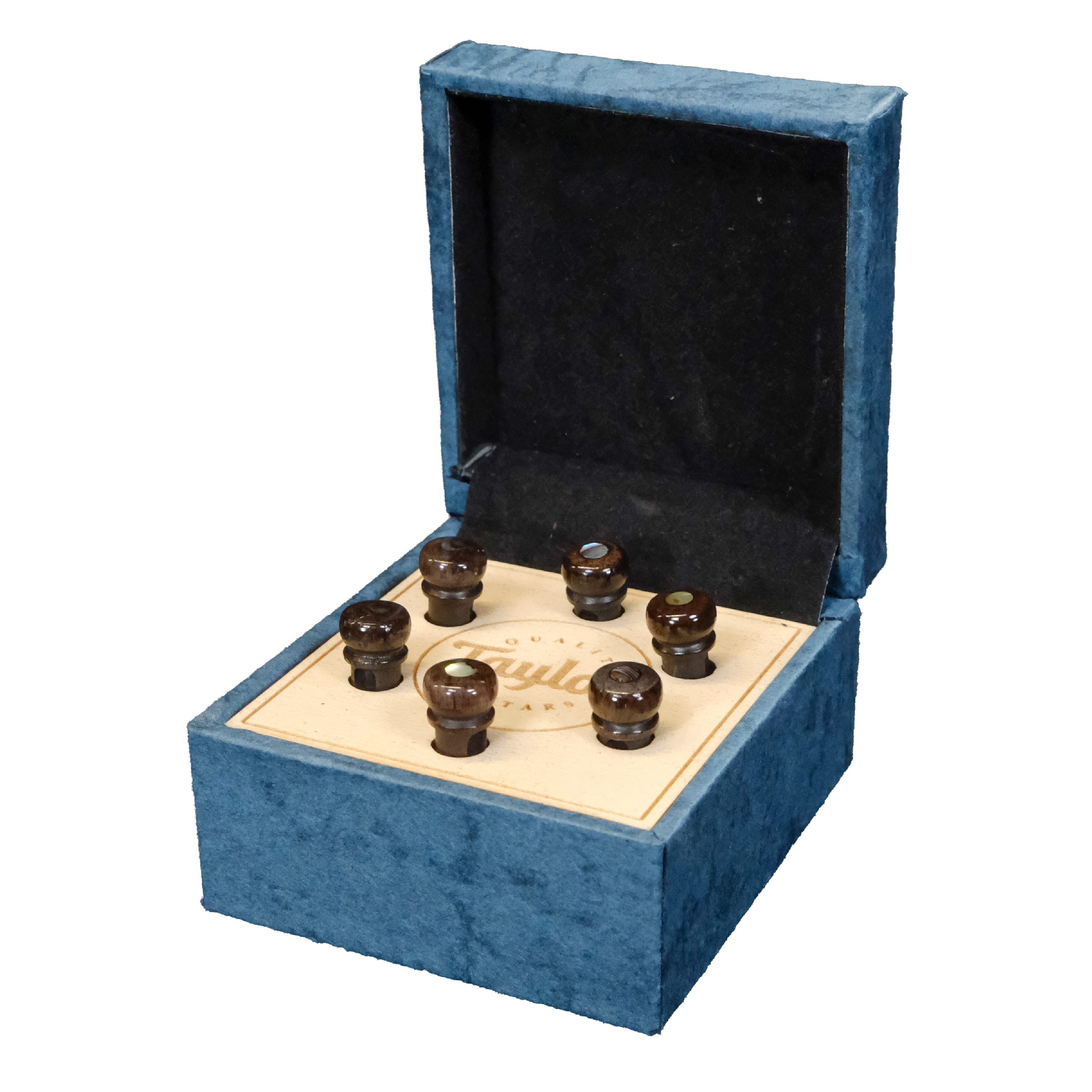 Taylor Water Buffalo Horn Bone Bridge Pin Set