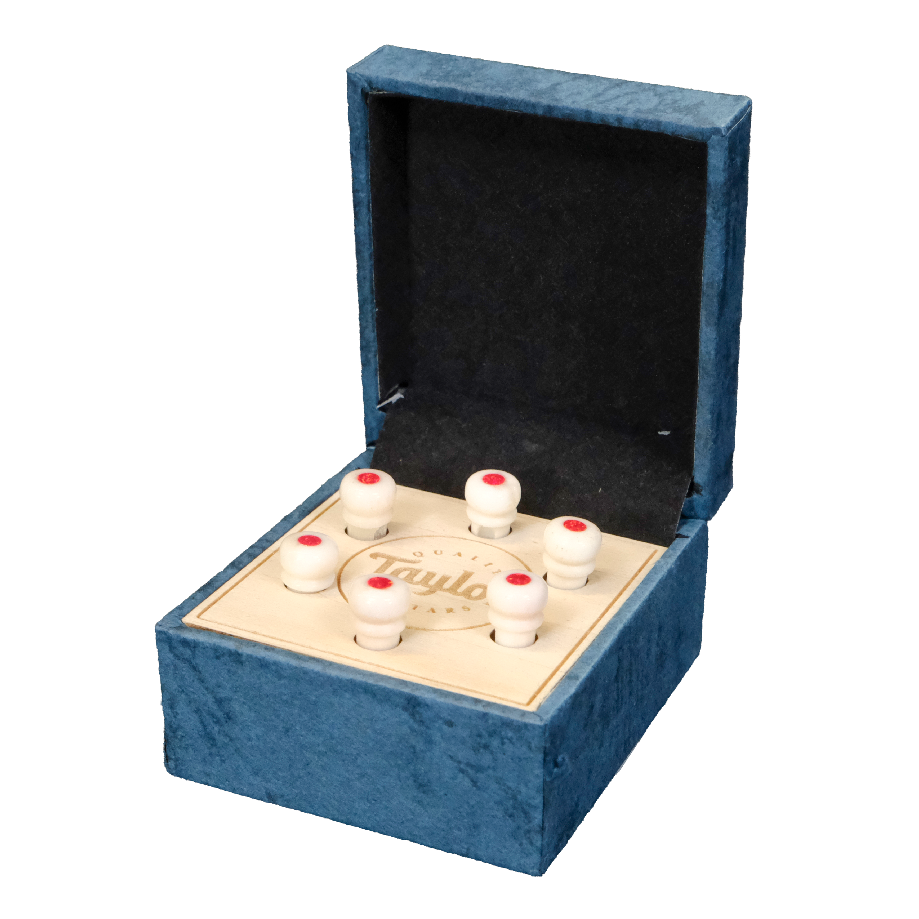 Taylor Water Buffalo Horn Bone Bridge Pin Set