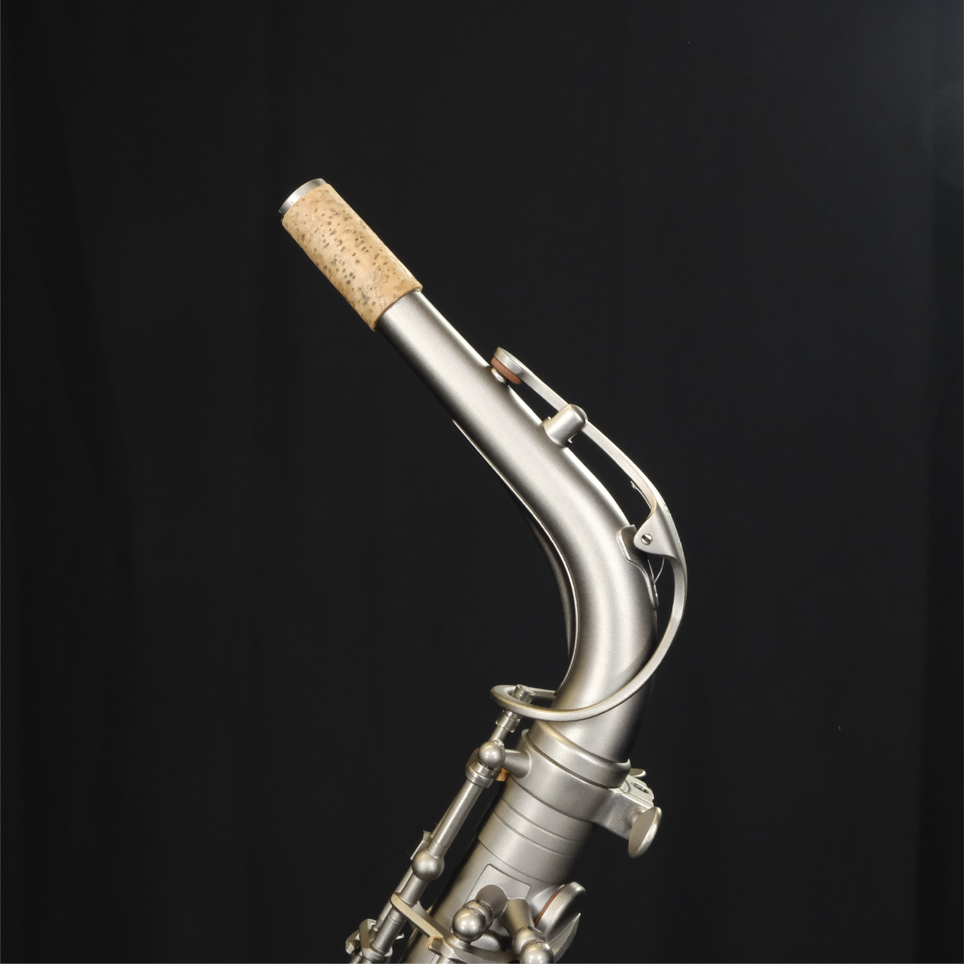 Chateau Alto Saxophone Chambord 50 Series CAS50BM - Black Matte