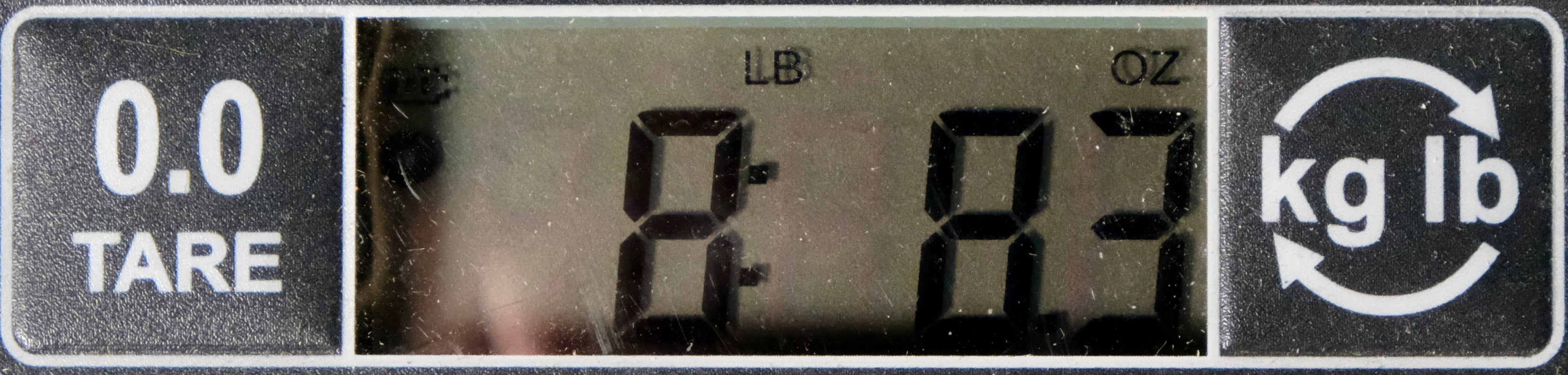 Shabat Panther Bass - Ocean Turquoise Metallic - Palen Music