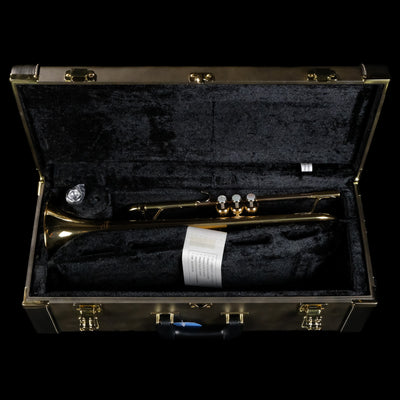 Yamaha YTR-6335 Professional Bb Trumpet (DEMO) - Palen Music