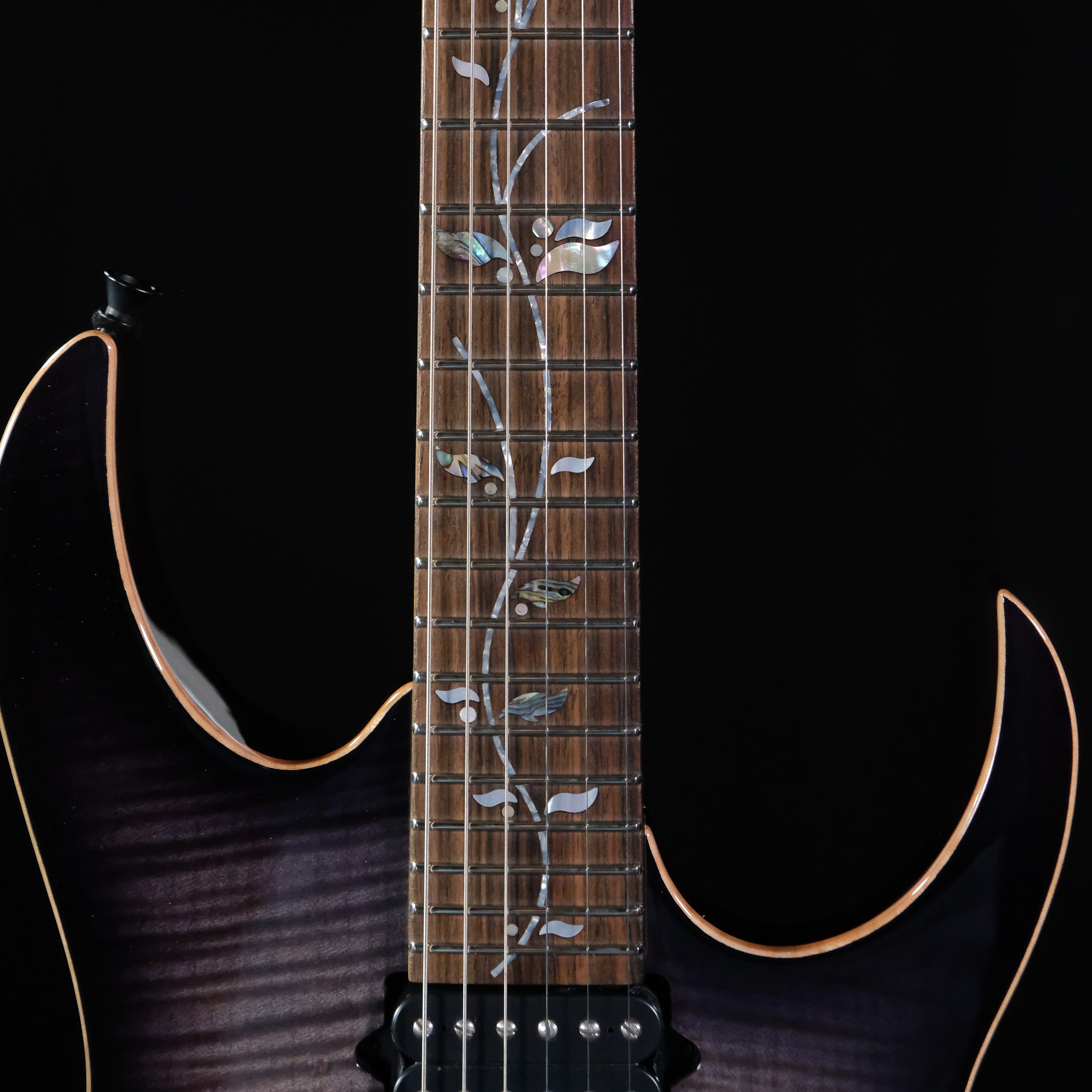 Ibanez RG8870 Electric Guitar - Black Rutile - Palen Music