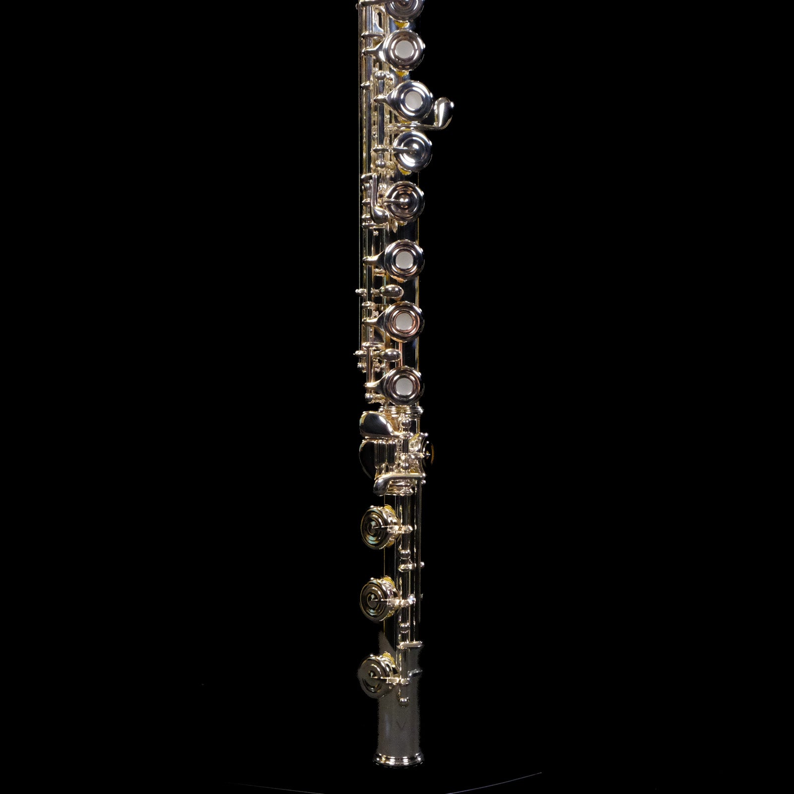 Di Zhao Intermediate Flute w/Solid Silver Headjoint - DZ601BOF