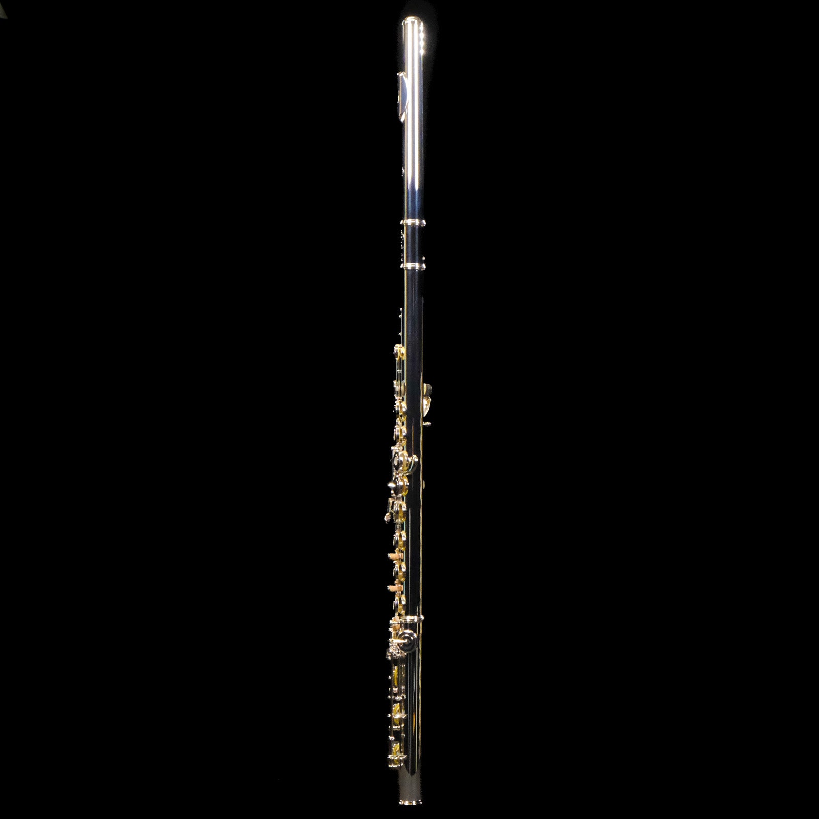 Di Zhao Intermediate Flute w/Solid Silver Headjoint - DZ601BOF
