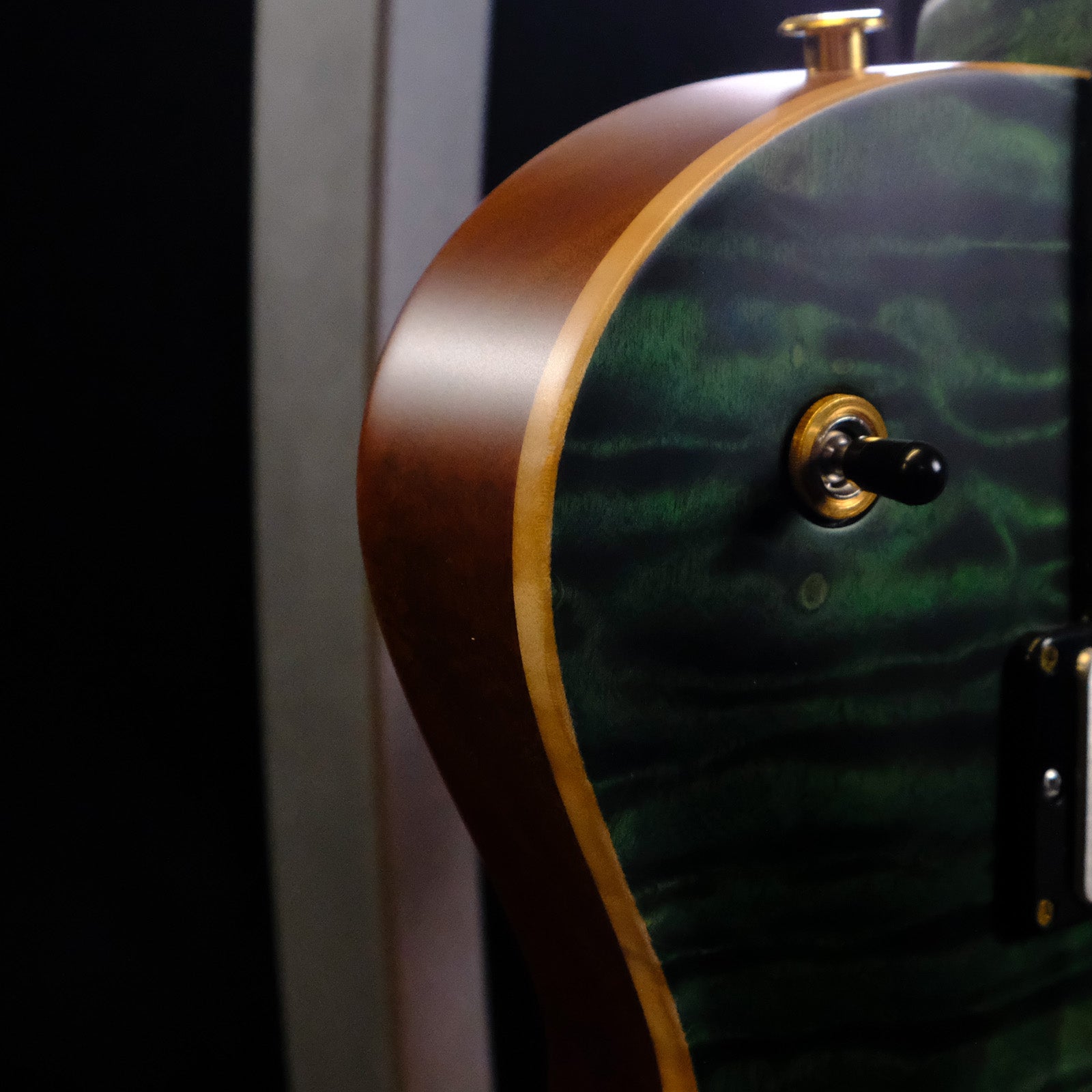 PRS Private Stock McCarty 594 Singlecut - Sage Dragon's Breath