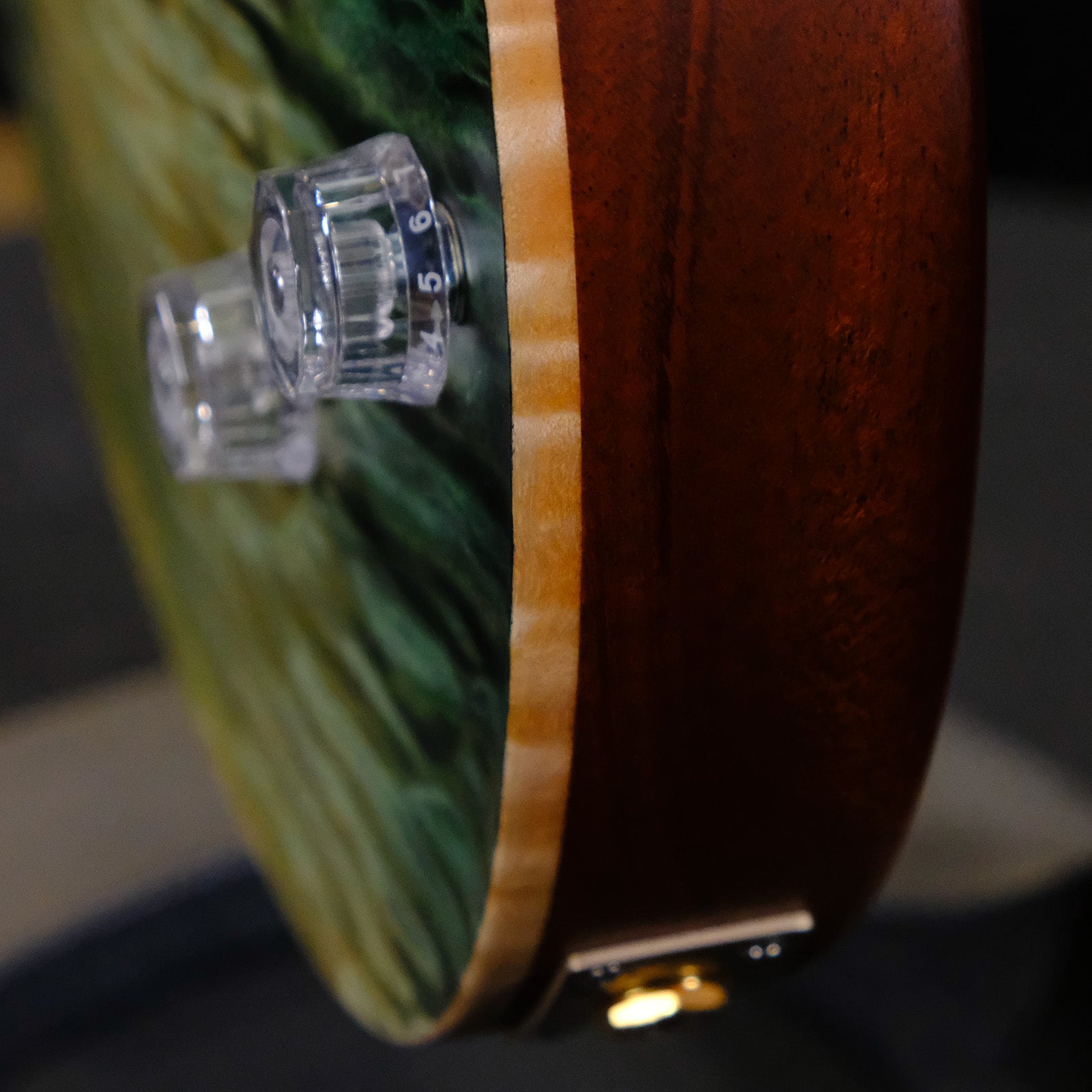 PRS Private Stock McCarty 594 Singlecut - Sage Dragon's Breath