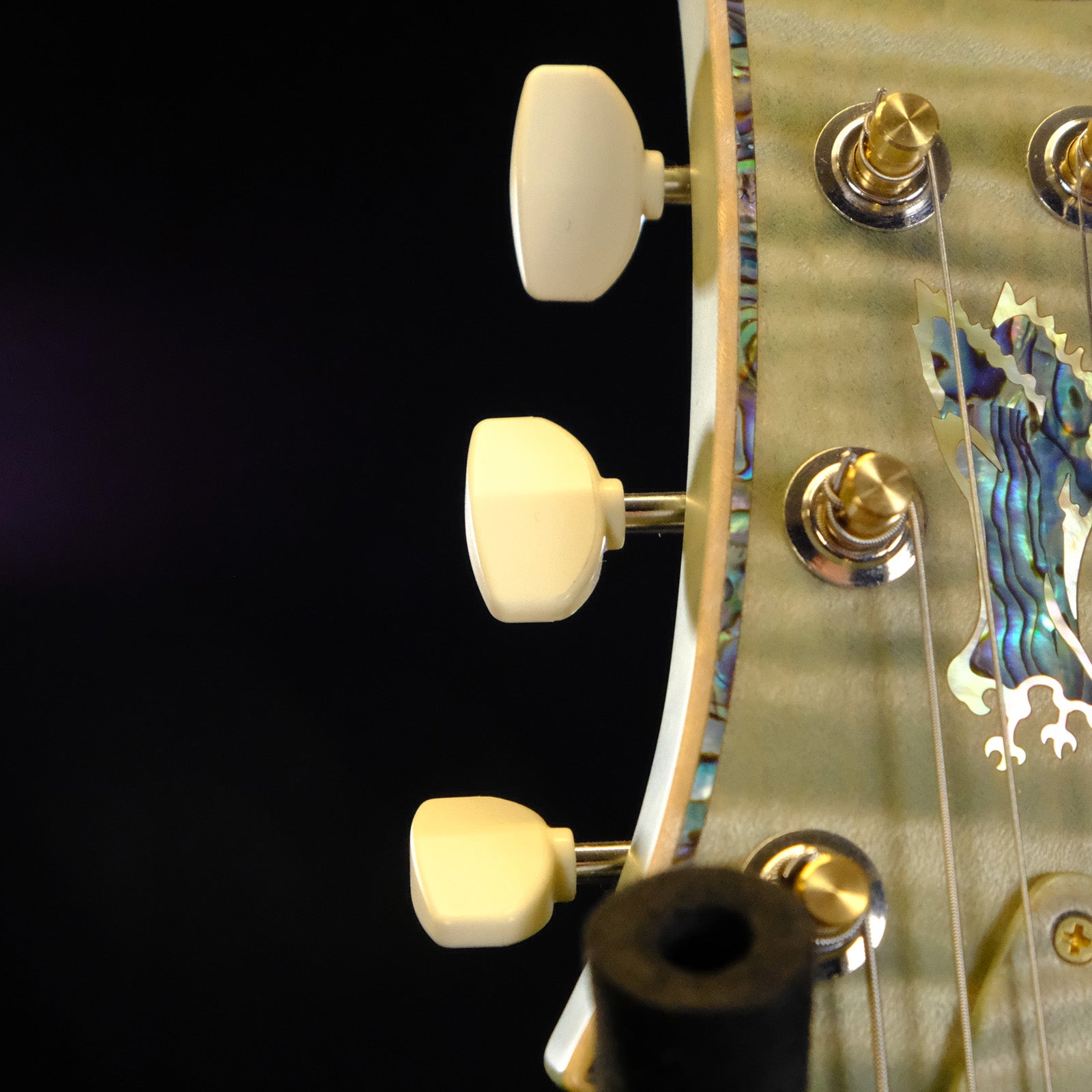 PRS Private Stock McCarty 594 Singlecut - Sage Dragon's Breath