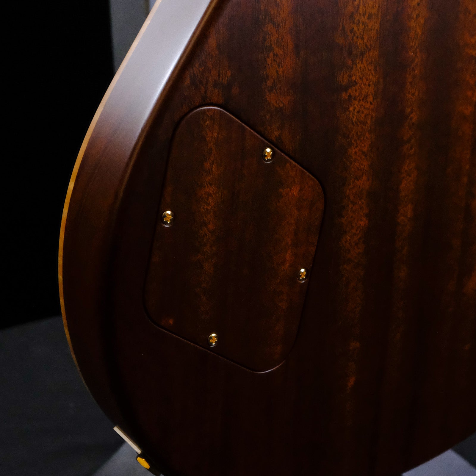 PRS Private Stock McCarty 594 Singlecut - Sage Dragon's Breath