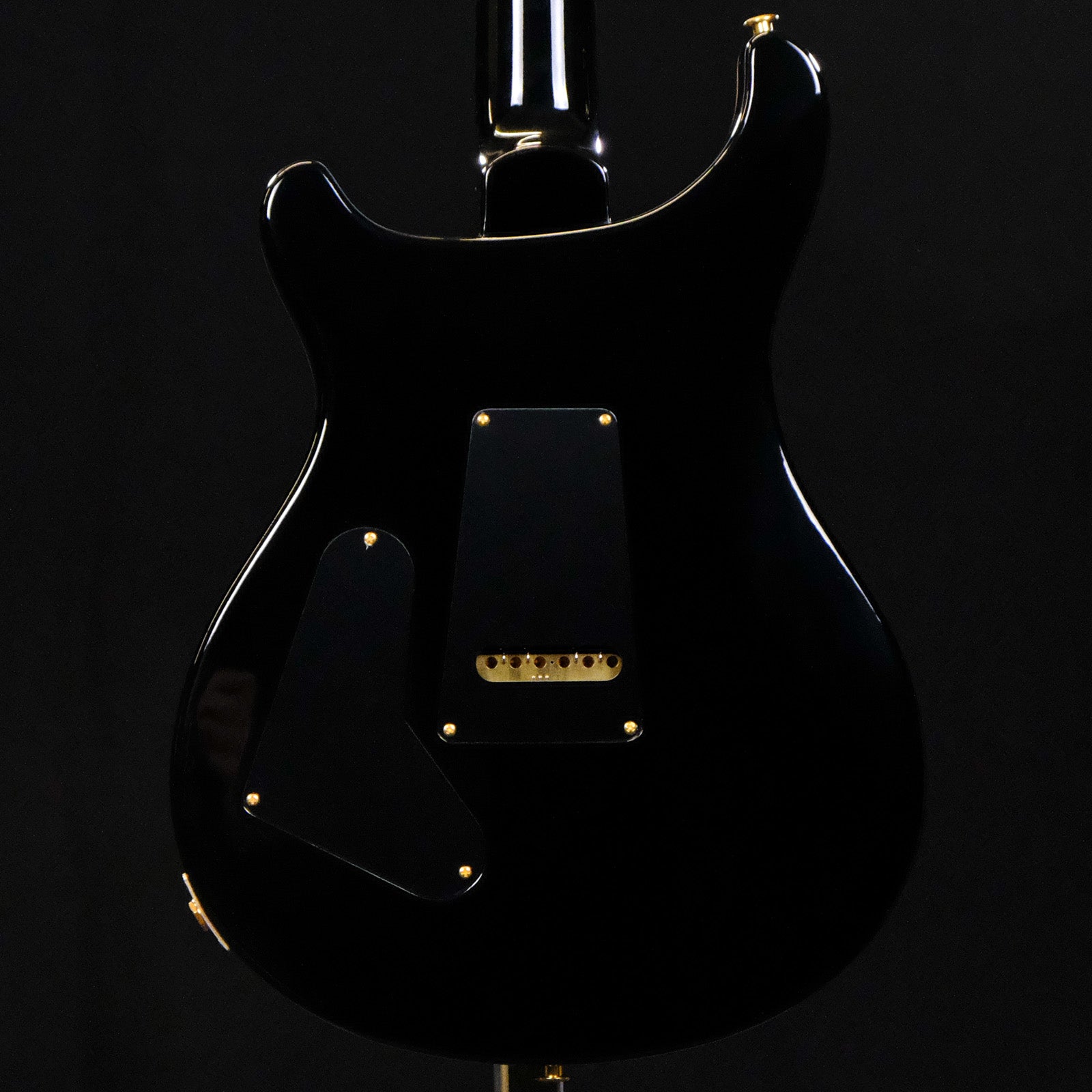 PRS Custom 24 10-Top Electric Guitar - Purple Mist