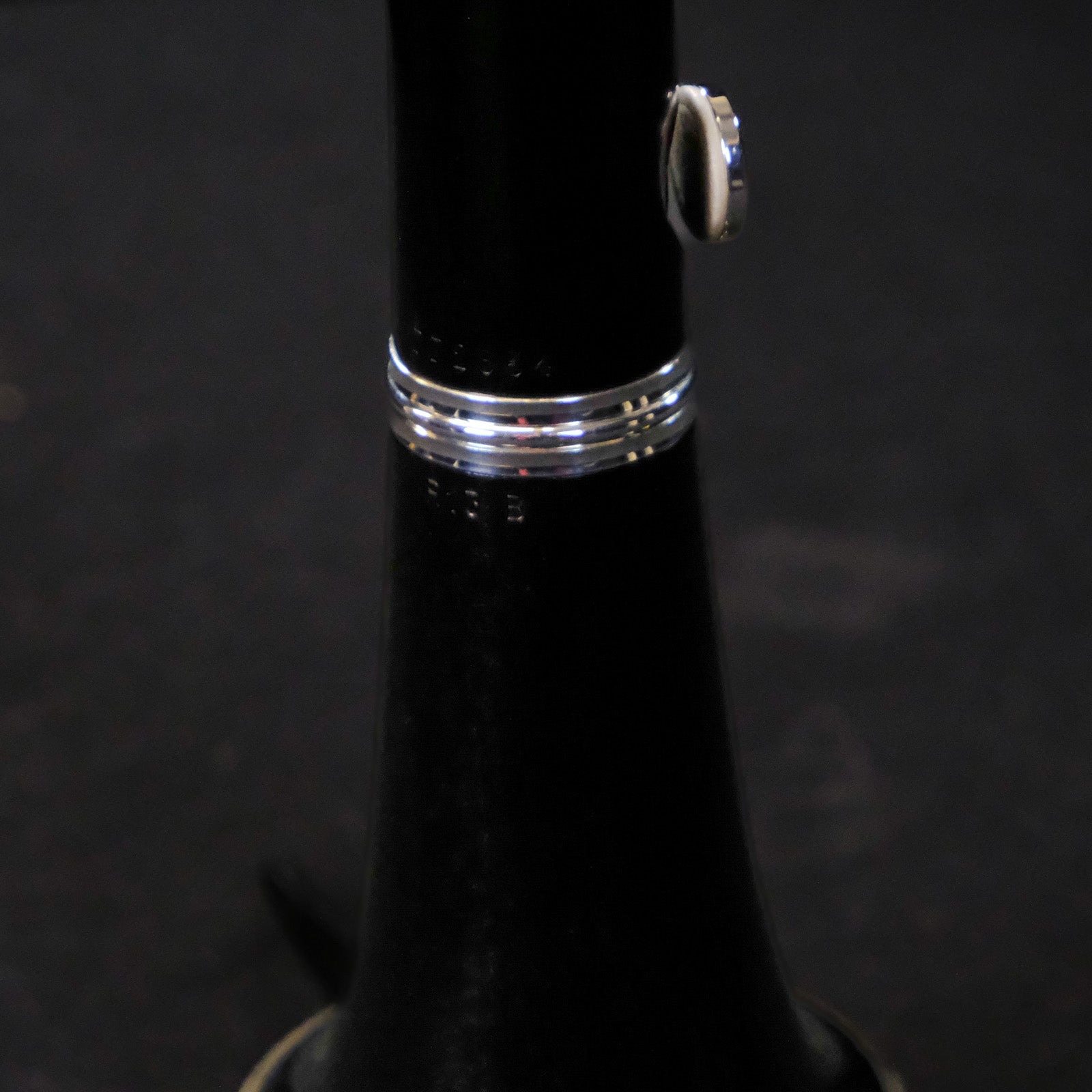 Buffet-Crampon R13 Professional Bb Clarinet - Silver Plated Keys BC113120